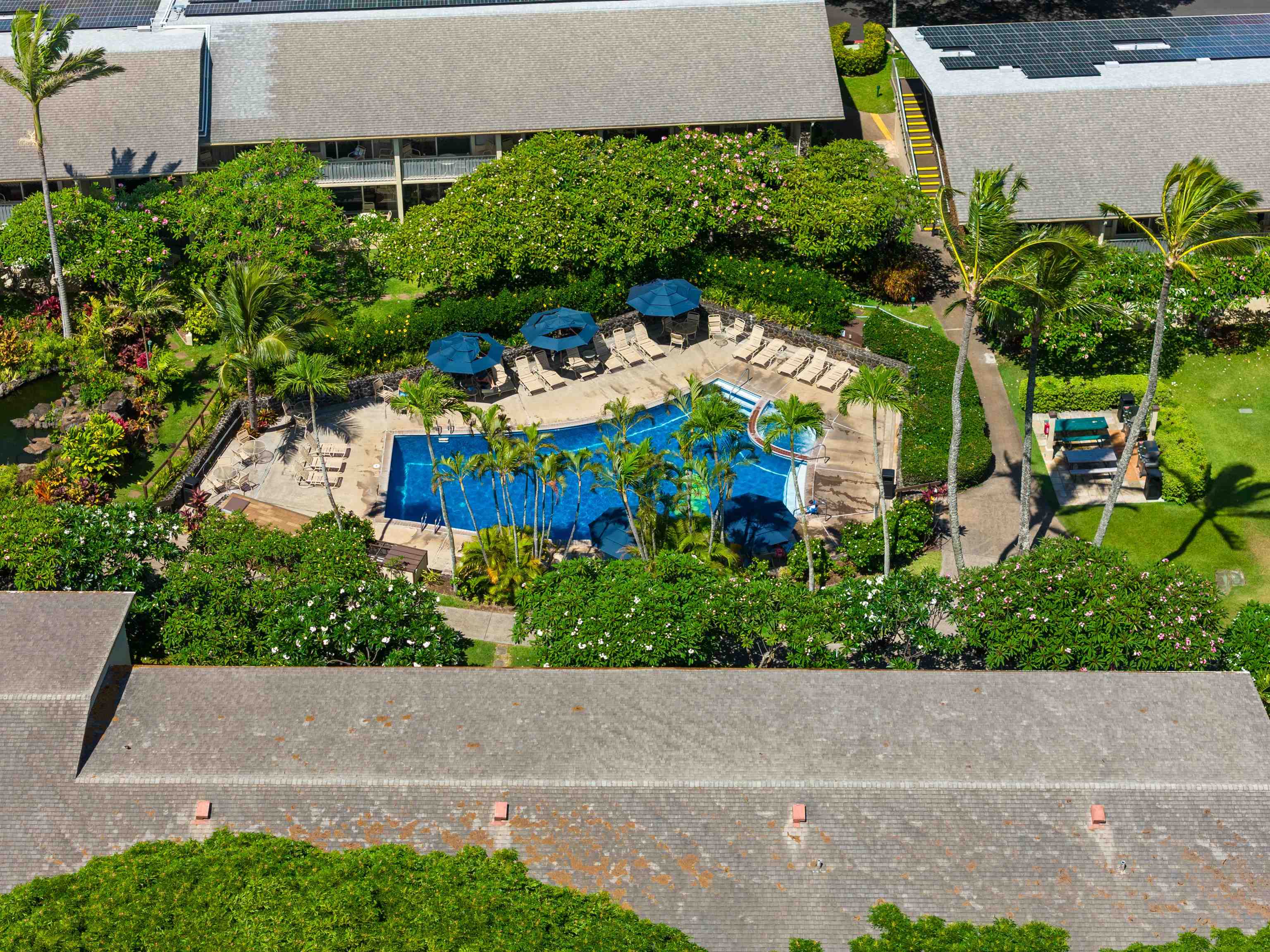 5315 Lower Honoapiilani Rd Property Photo 34