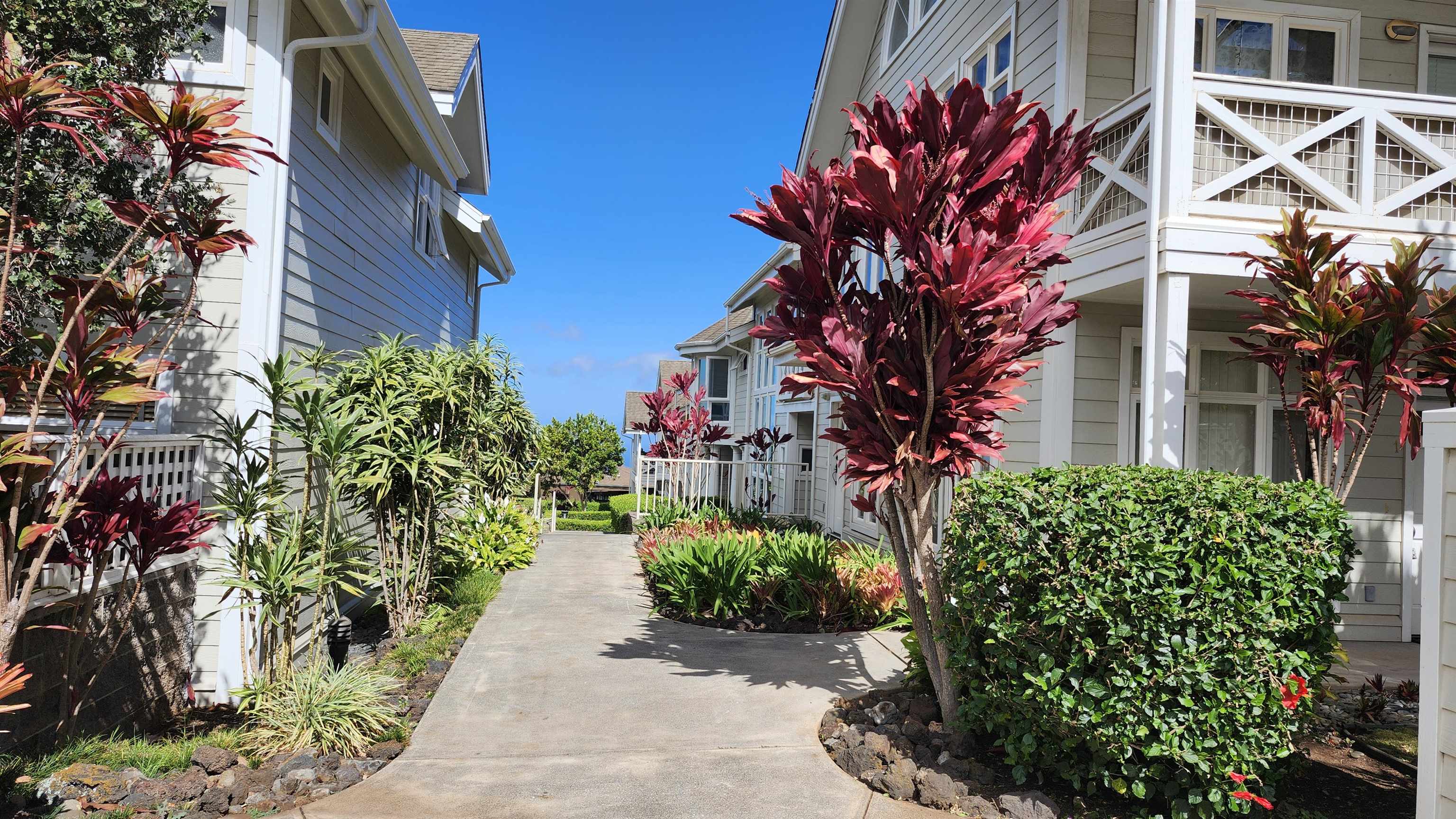 71 Makawao Ave Property Photo 46