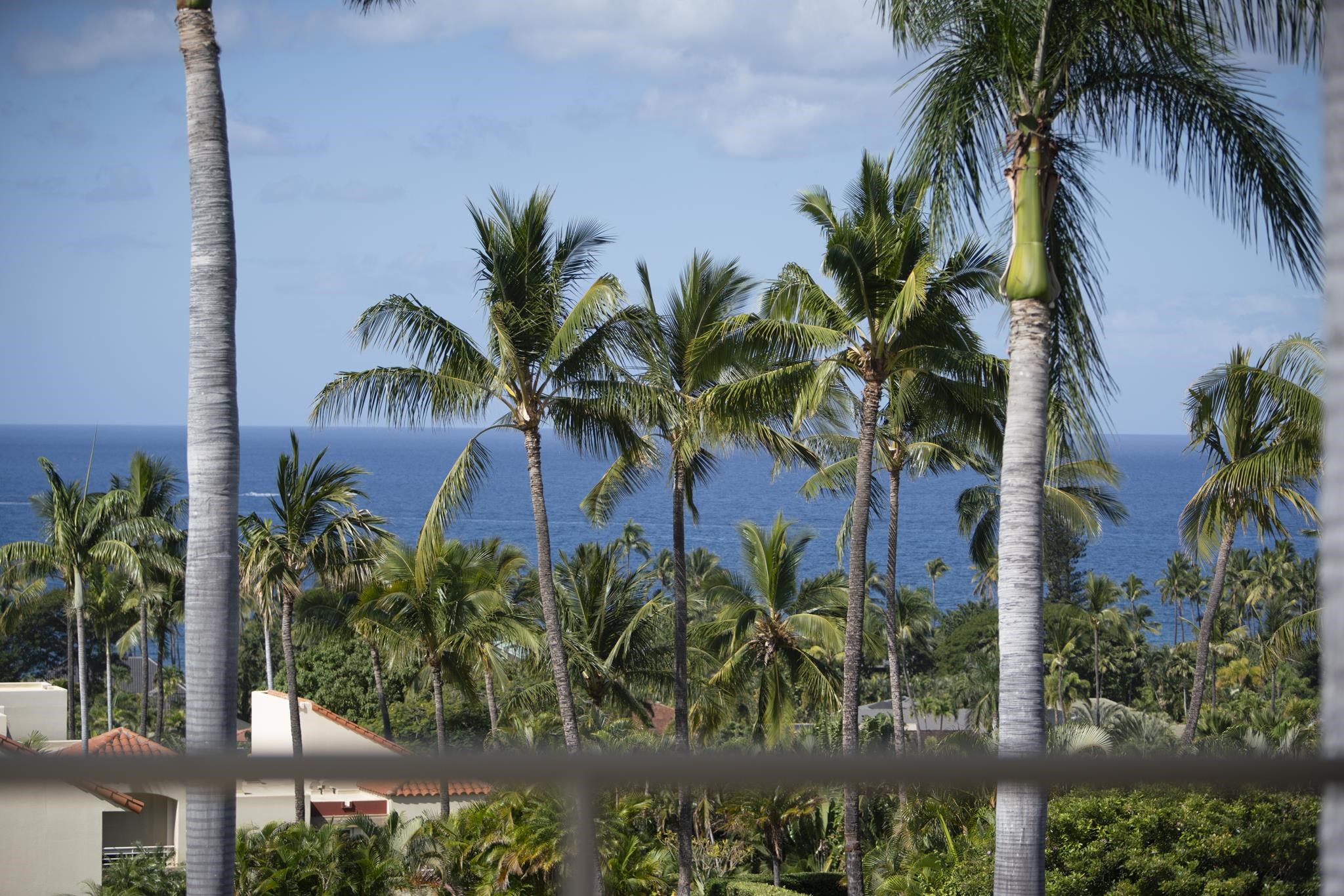 3150 Wailea Alanui Dr Property Photo 2