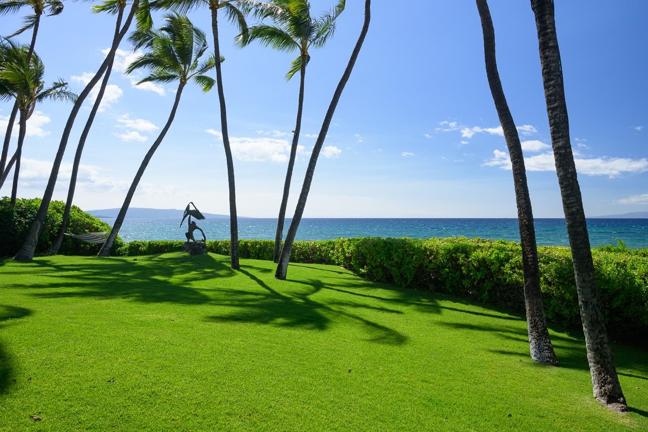 3254 S Kihei Rd Property Photo 22