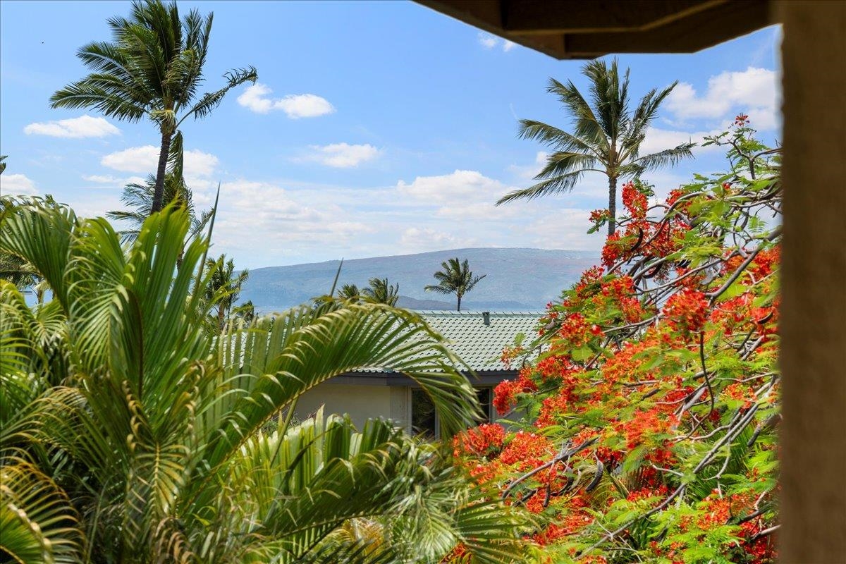 3300 Wailea Alanui Dr Property Photo 24