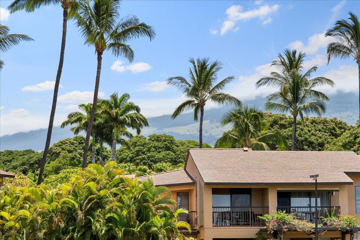 3300 Wailea Alanui Dr Property Photo 25
