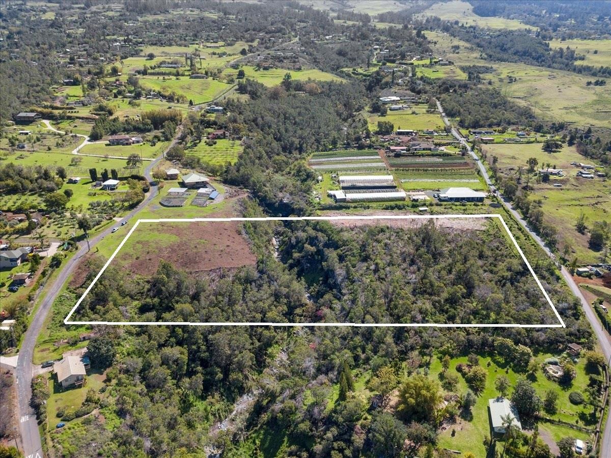 Kamehameiki Rd Property Photo