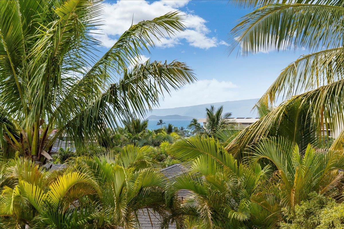 30 Laukahi St Property Photo 4