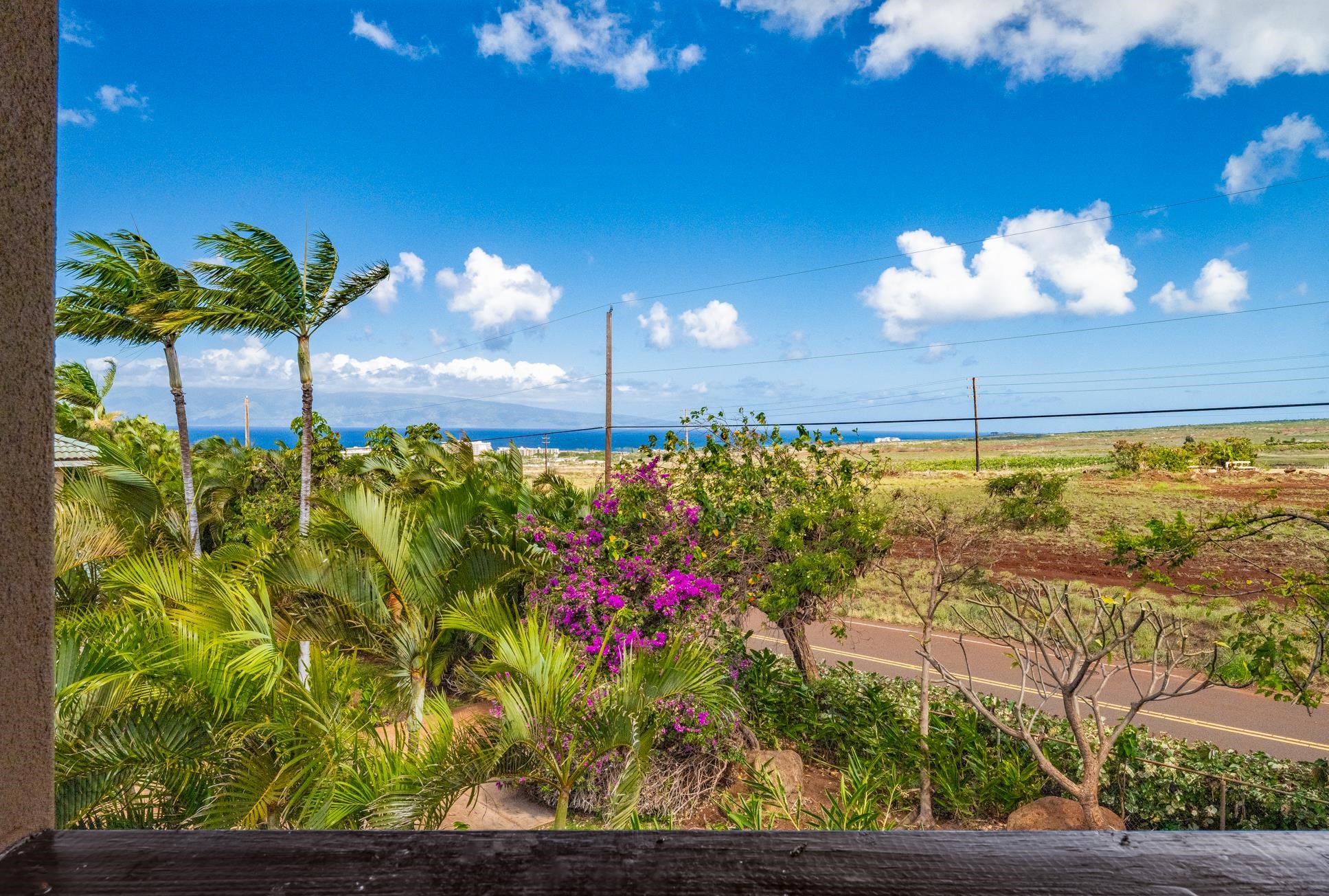 13 N Piki Pl Property Photo 44