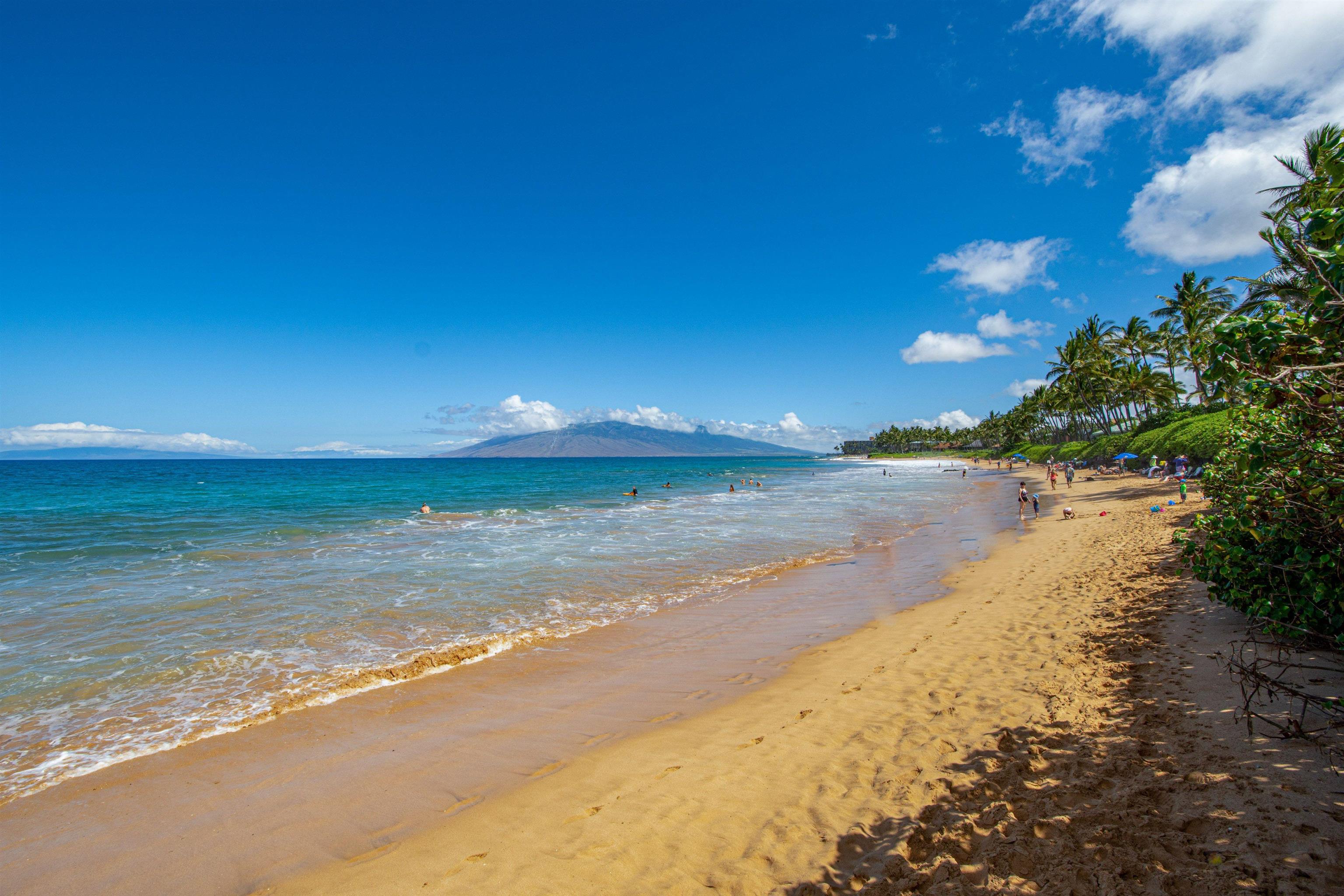 3300 Wailea Alanui Dr Property Photo 39