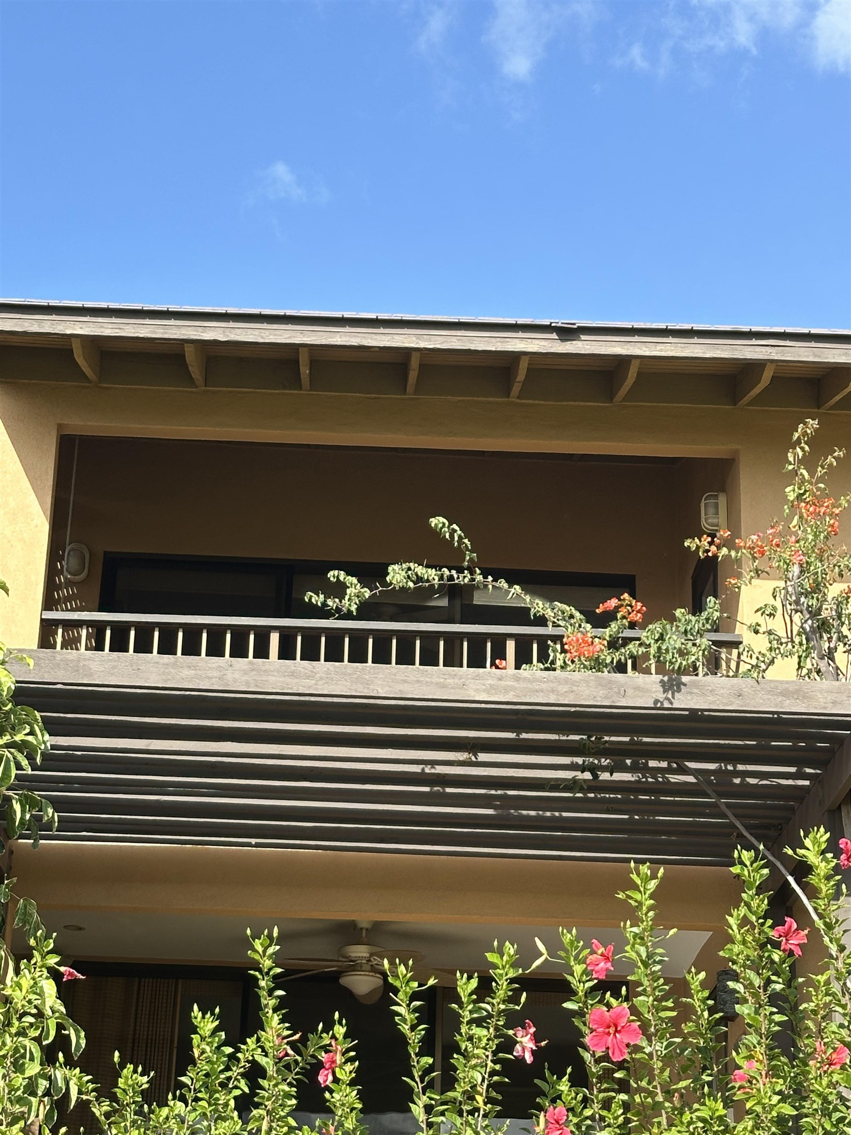 3300 Wailea Alanui Dr Property Photo 44