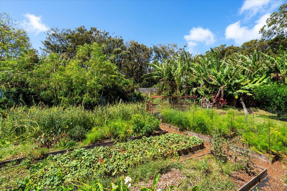 1084 Nanihoku Pl Property Photo 38