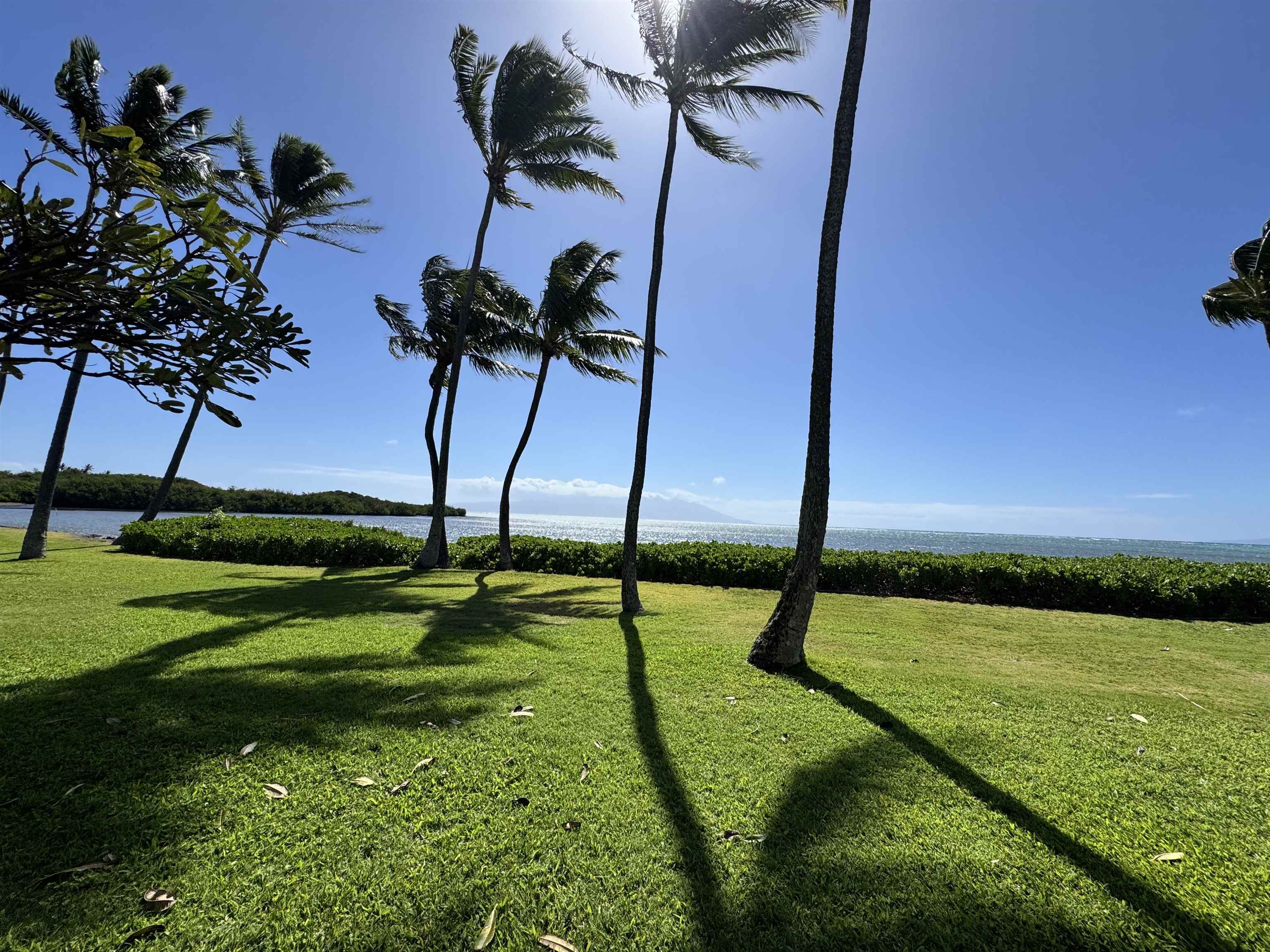 7142 Kamehameha V Hwy Property Photo