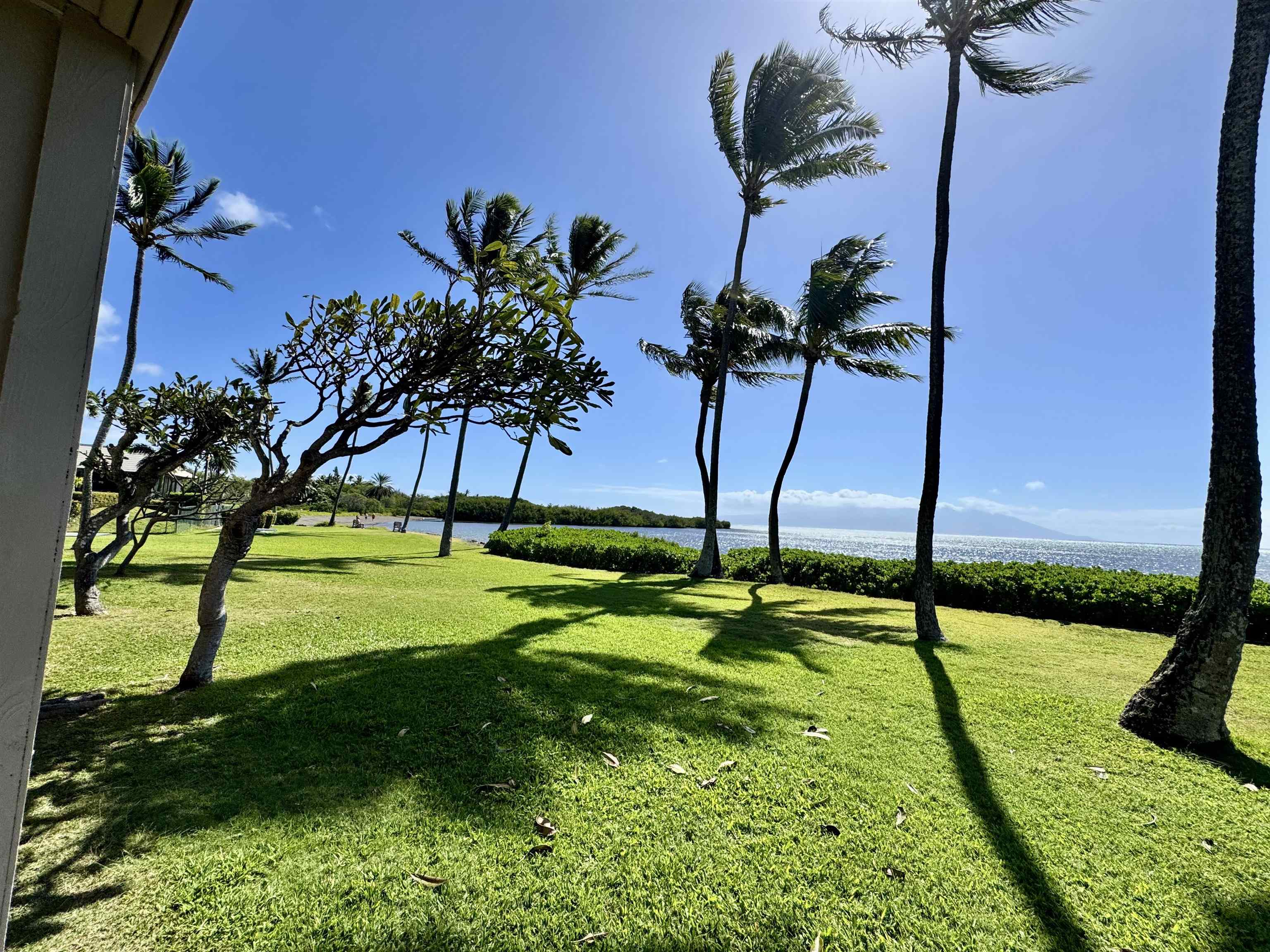 7142 Kamehameha V Hwy Property Photo 11