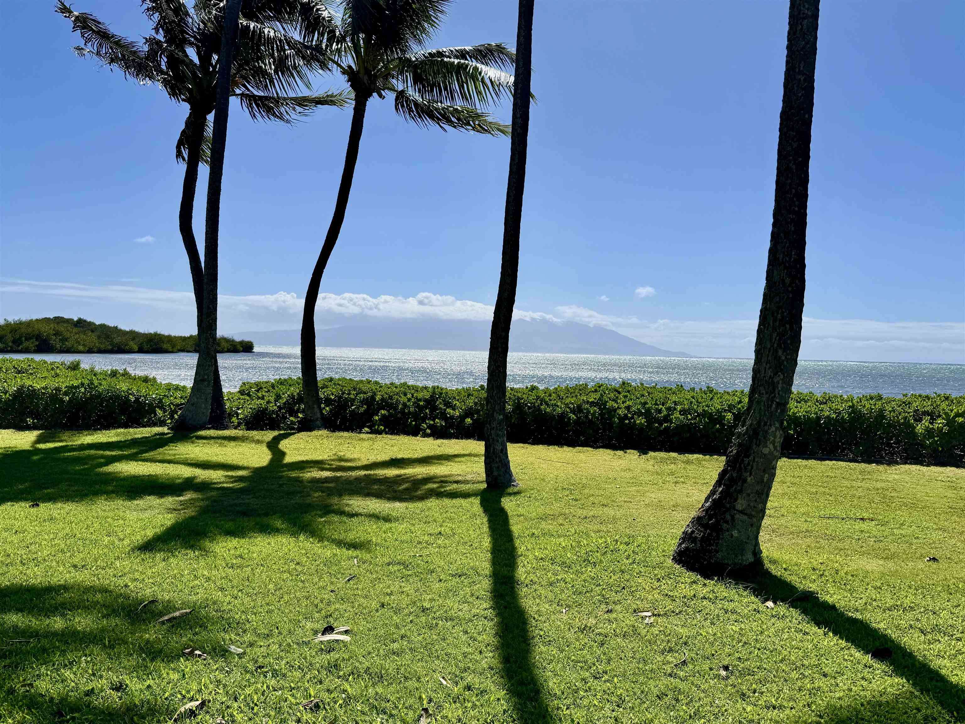 7142 Kamehameha V Hwy Property Photo 25