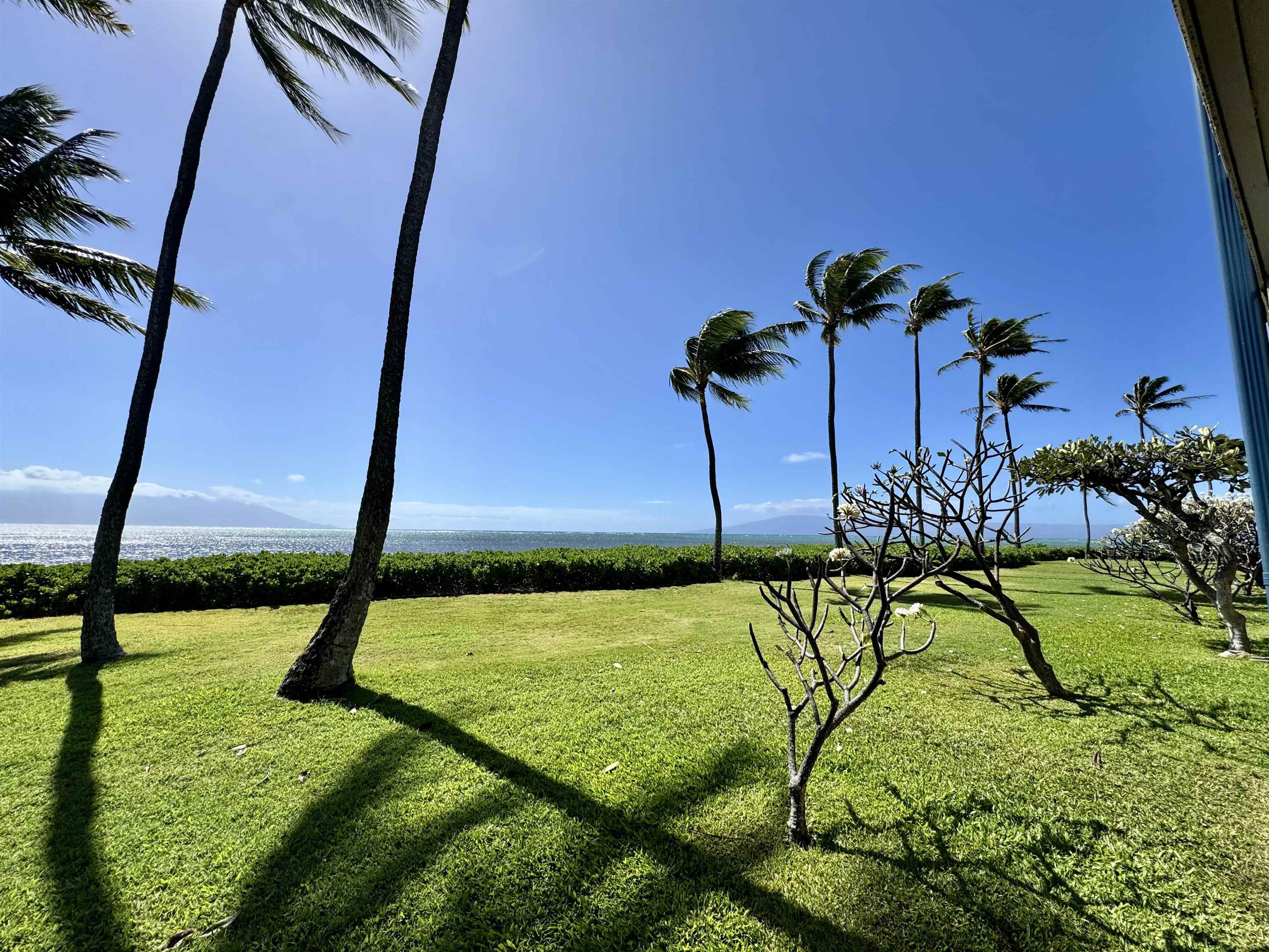 7142 Kamehameha V Hwy Property Photo 26