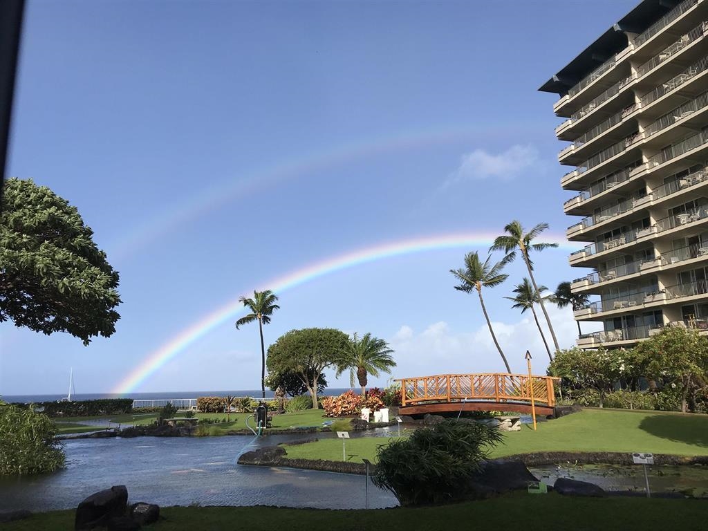 2481 Kaanapali Pkwy Property Photo 15