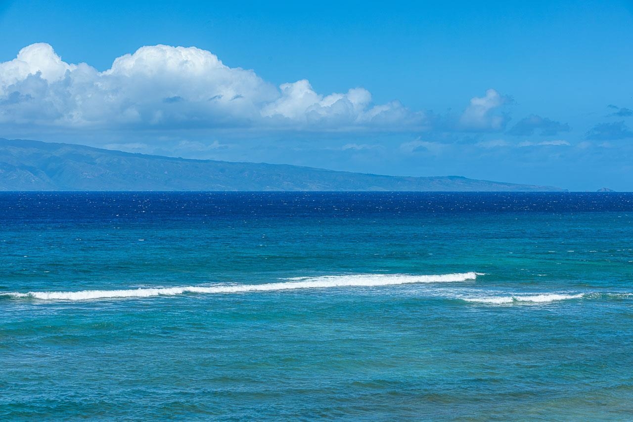 106 Kaanapali Shores Pl Property Photo 19