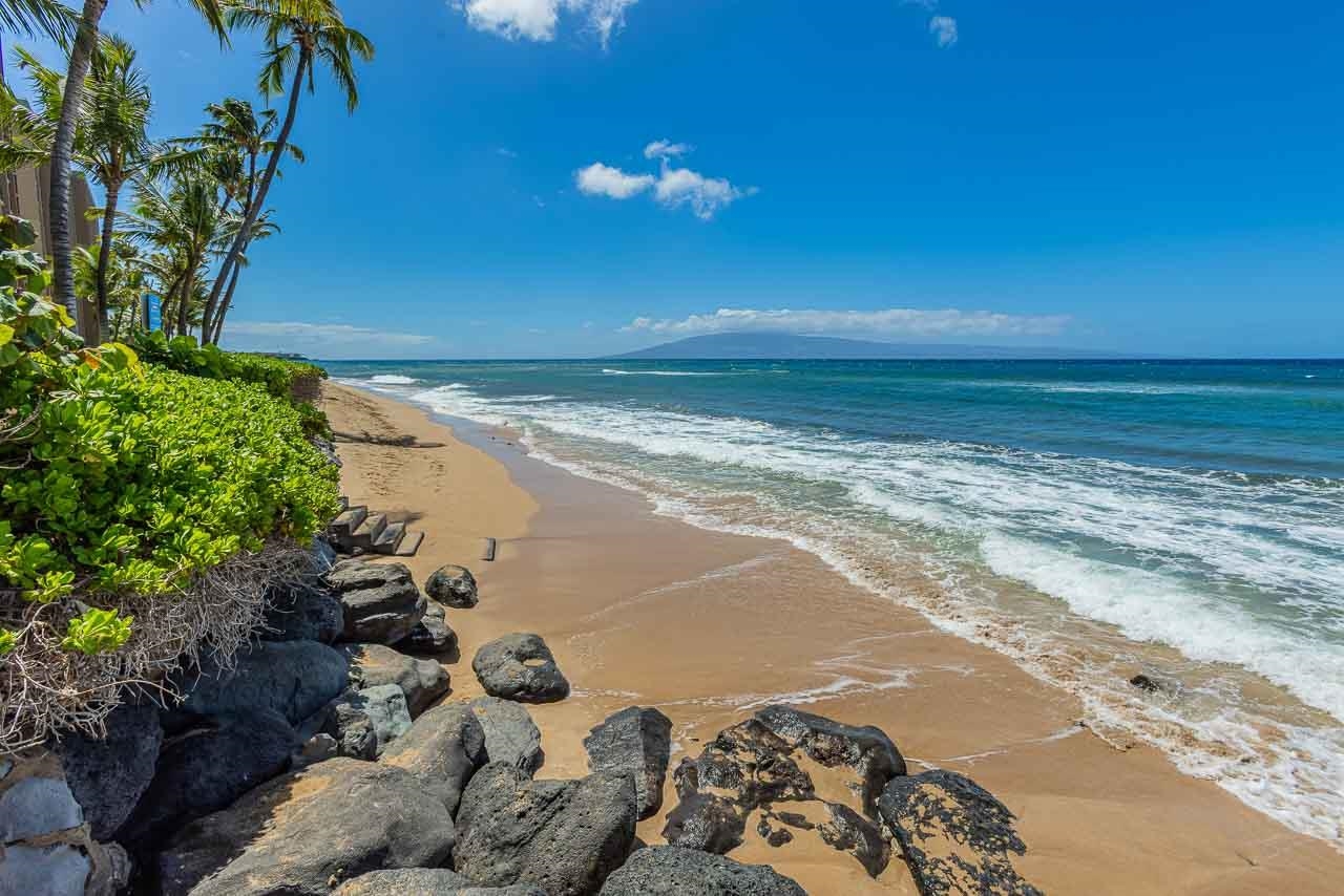 106 Kaanapali Shores Pl Property Photo 34