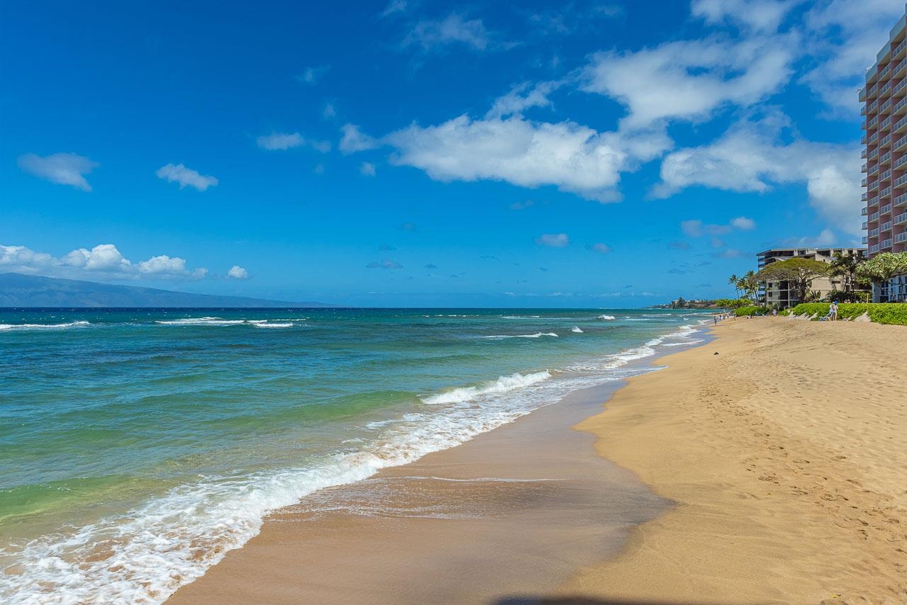 106 Kaanapali Shores Pl Property Photo 37