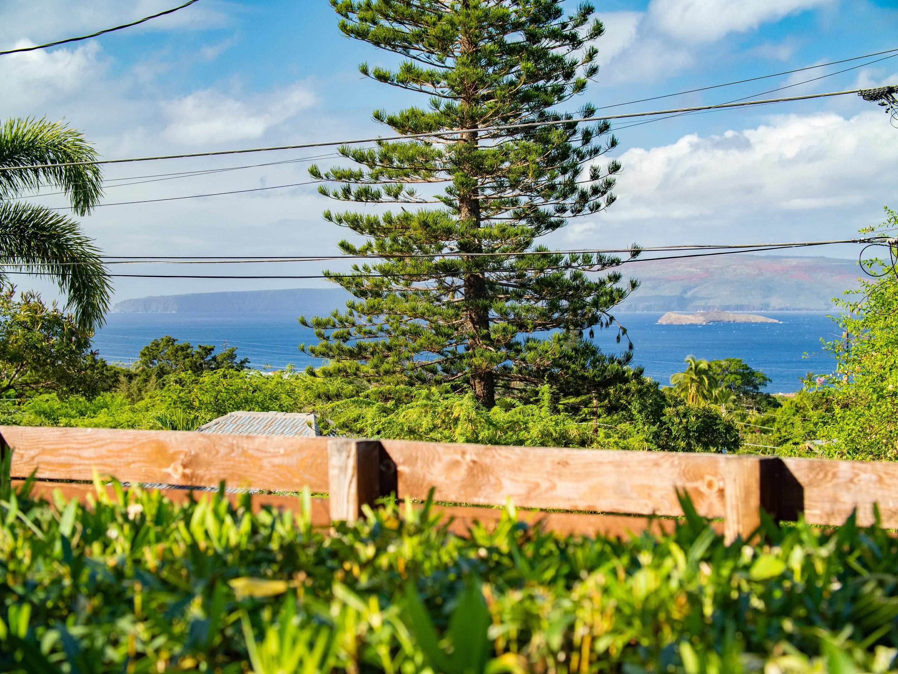 721 Mililani Pl Property Photo 43