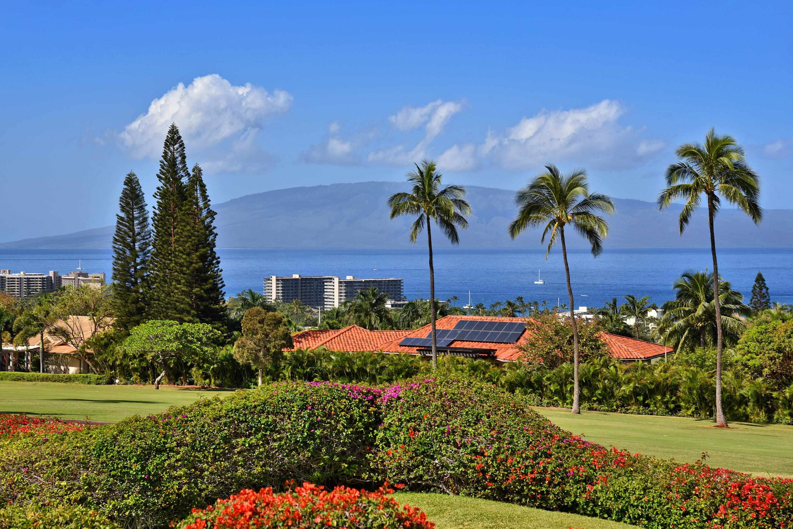 Masters Real Estate Listings Main Image
