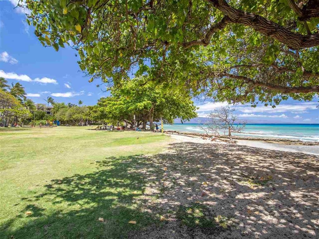 3691 Lower Honoapiilani Rd Property Photo 5