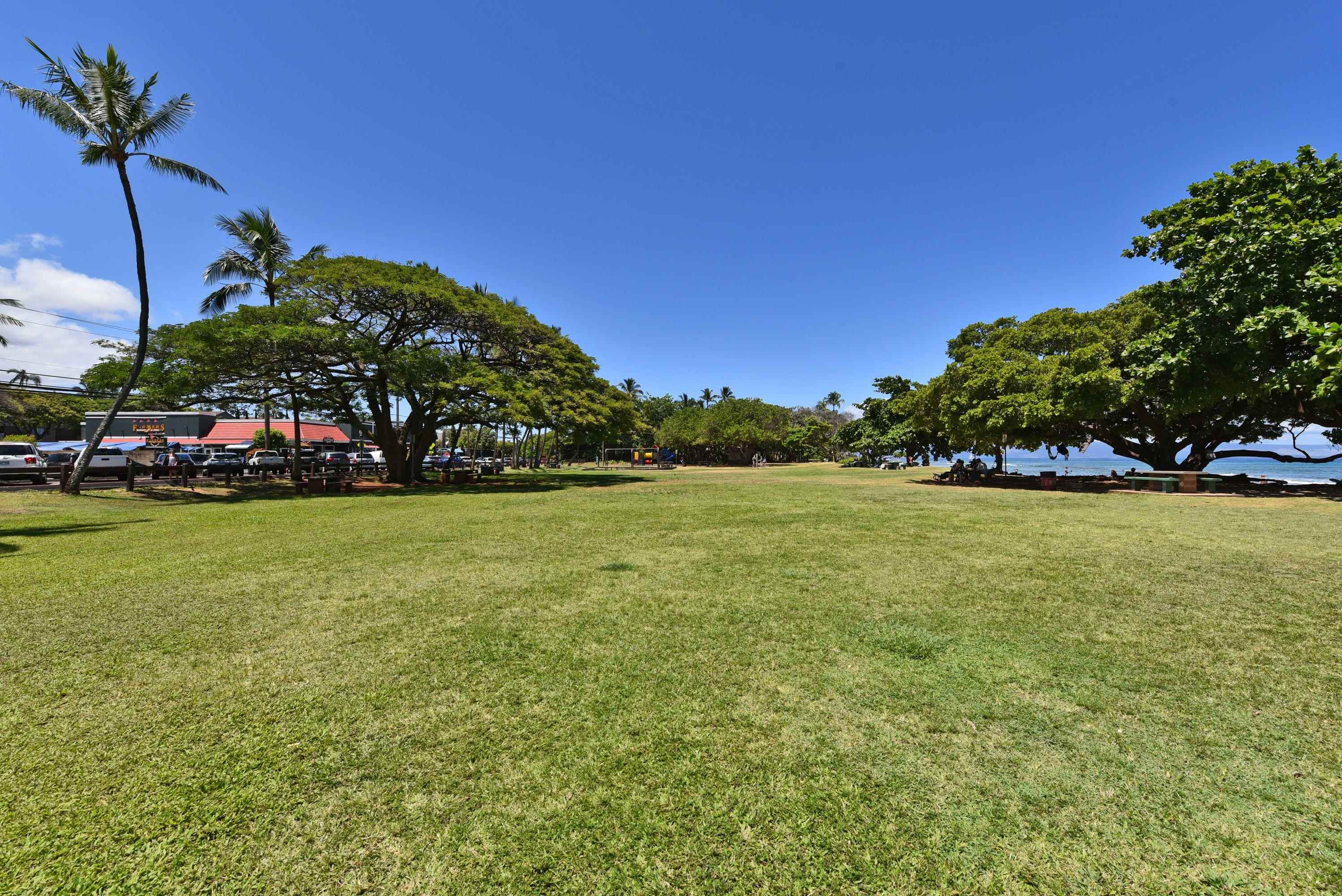 3691 Lower Honoapiilani Rd Property Photo 42