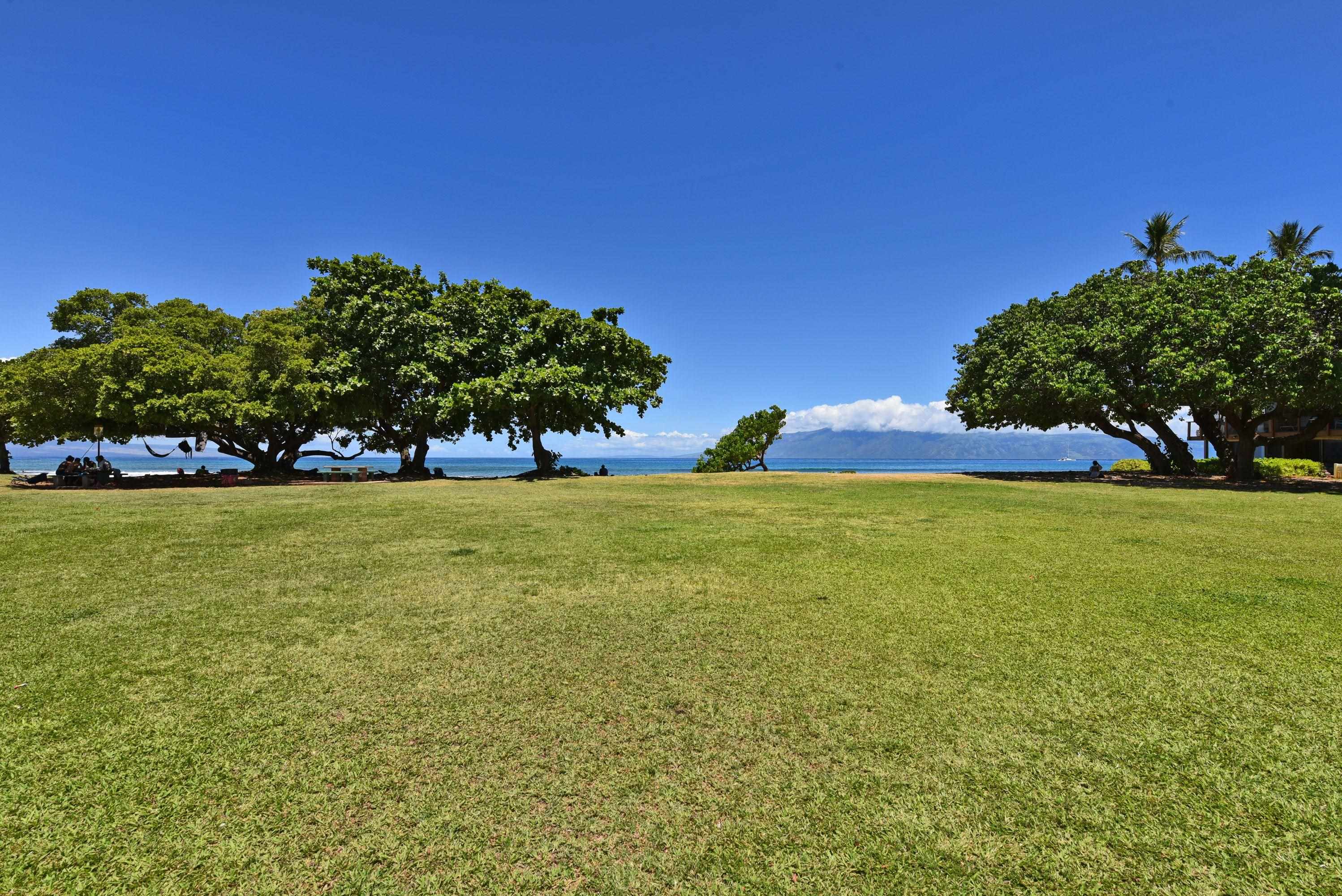 3691 Lower Honoapiilani Rd Property Photo 43