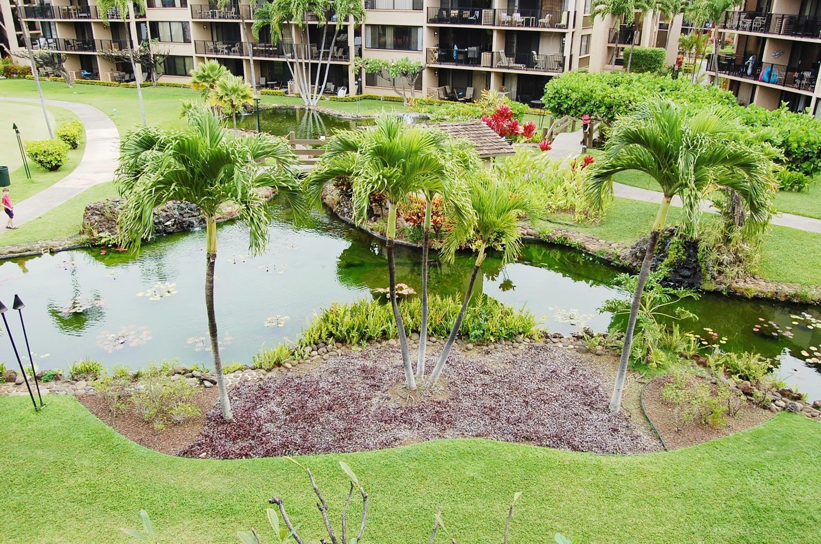 3543 Lower Honoapiilani Rd Property Photo 15