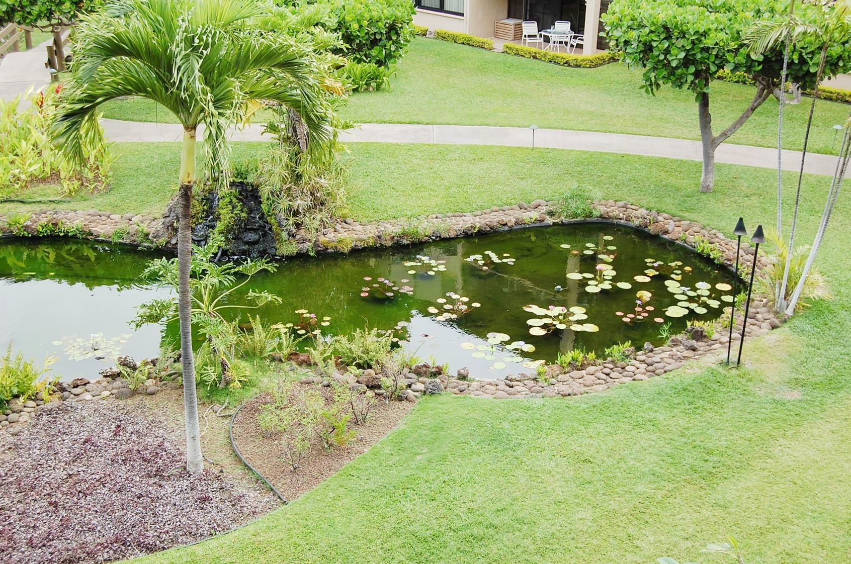 3543 Lower Honoapiilani Rd Property Photo 16