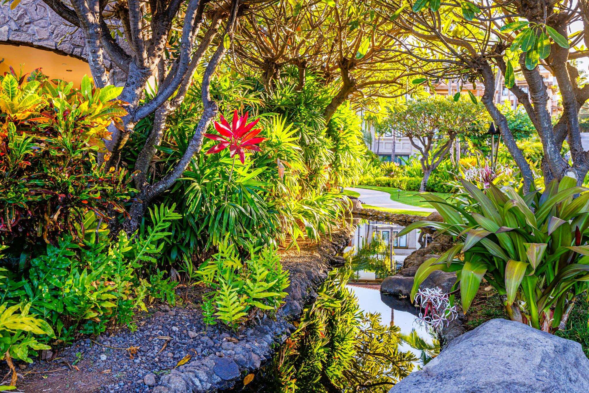 3800 Wailea Alanui Dr Property Photo 33