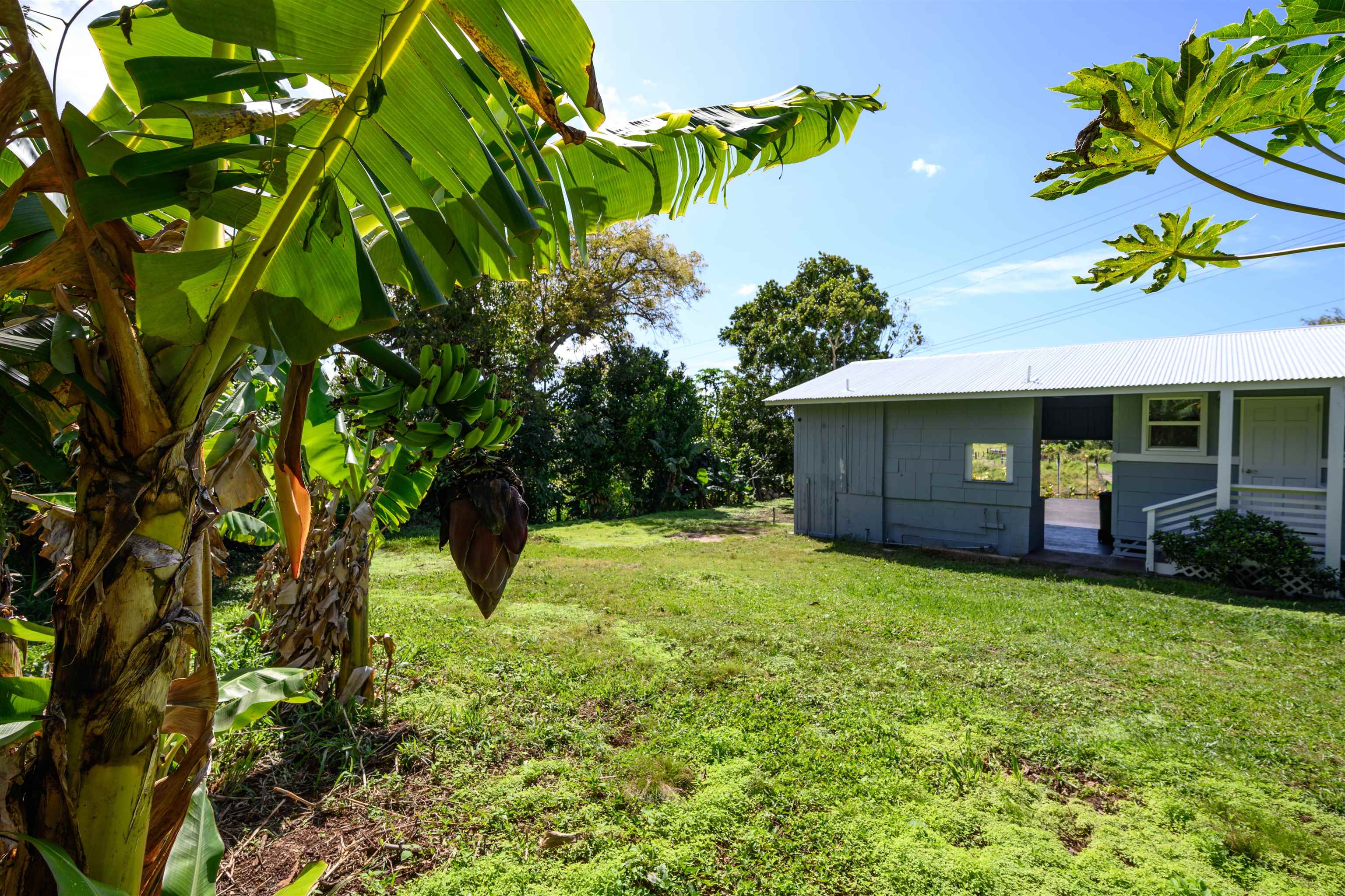 1756 Makawao Ave Property Photo 9