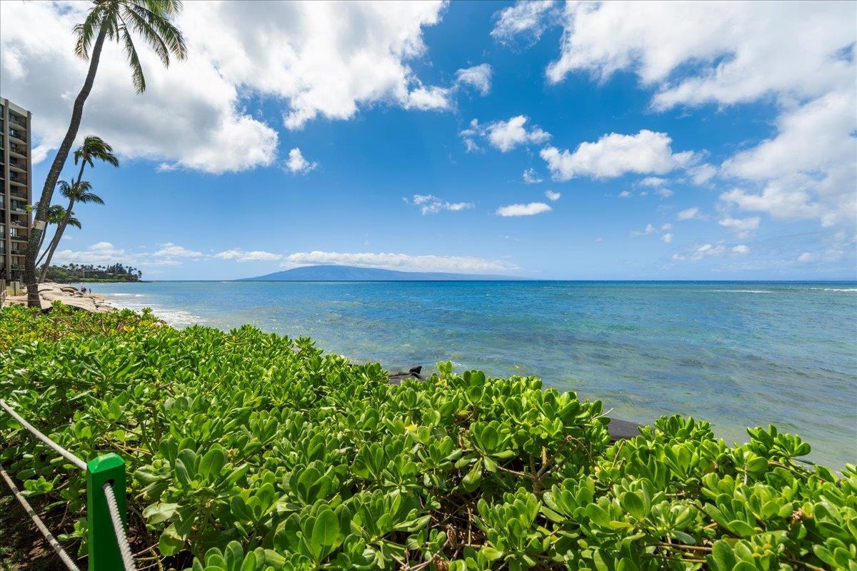 4365 Lower Honoapiilani Rd Property Photo 22