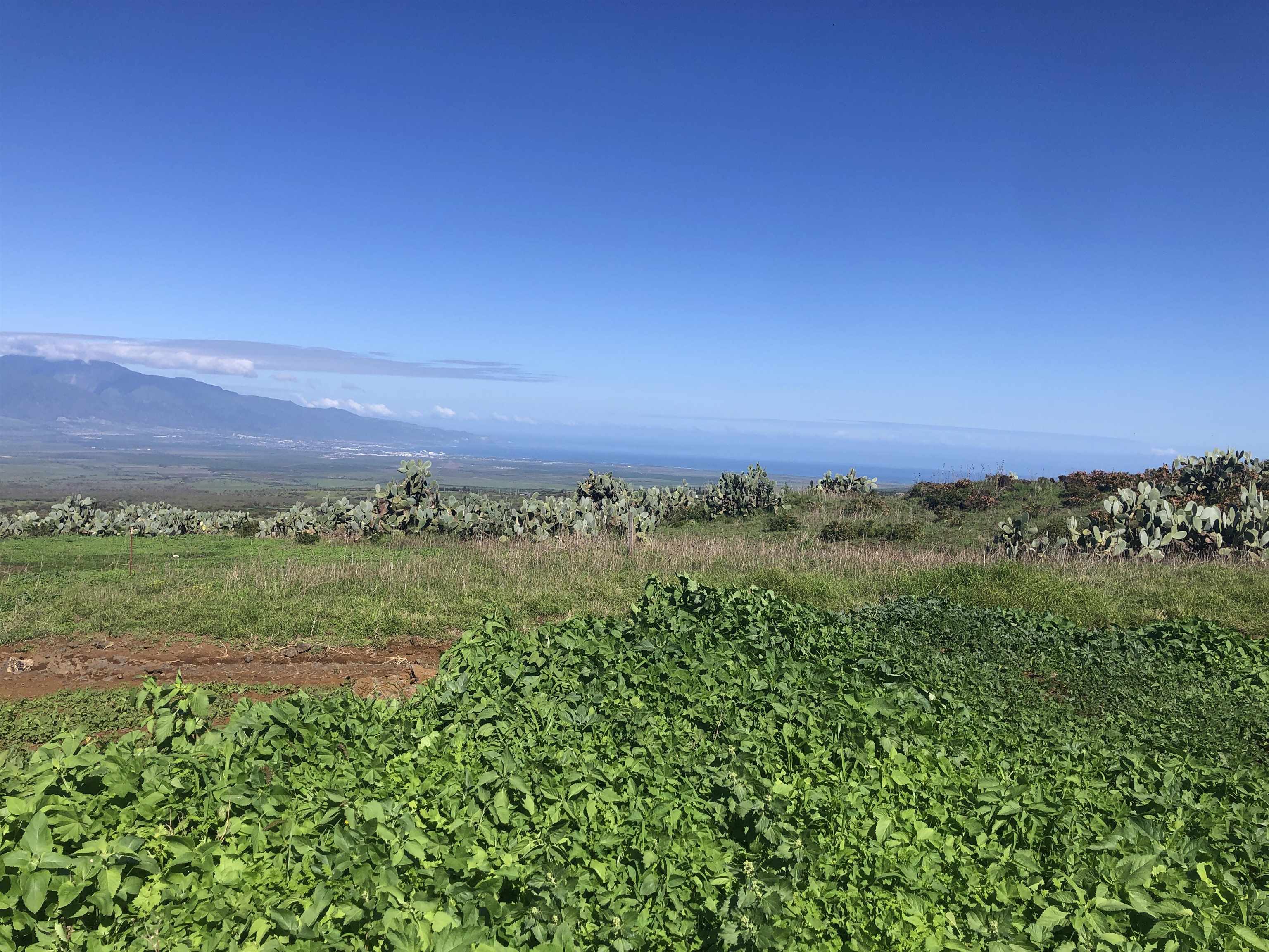 0 Kula Hwy Property Photo 4