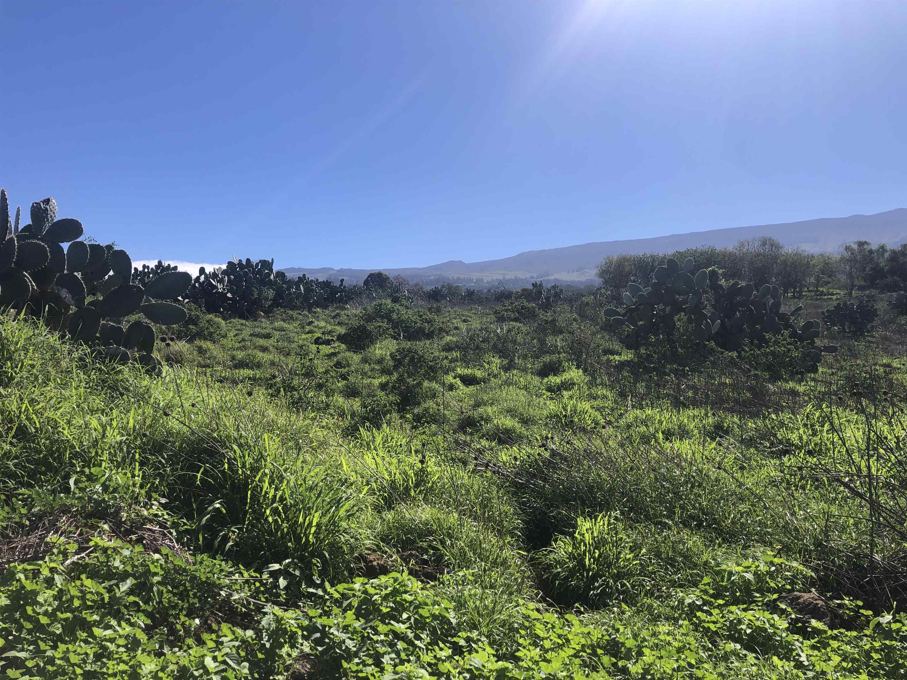 0 Kula Hwy Property Photo 14