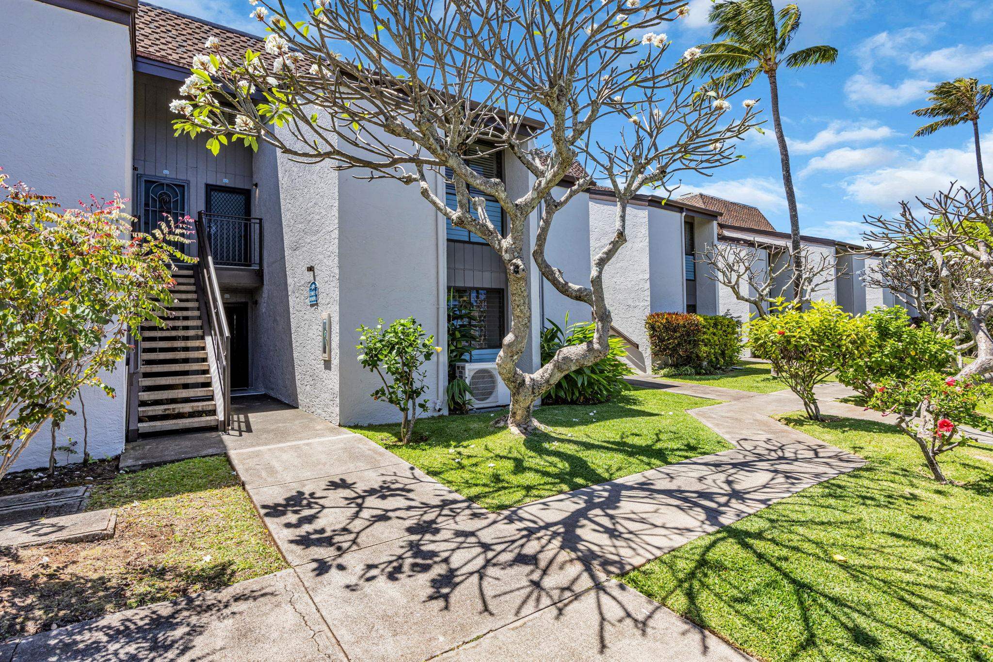 5295 Lower Honoapiilani Rd Property Photo 3