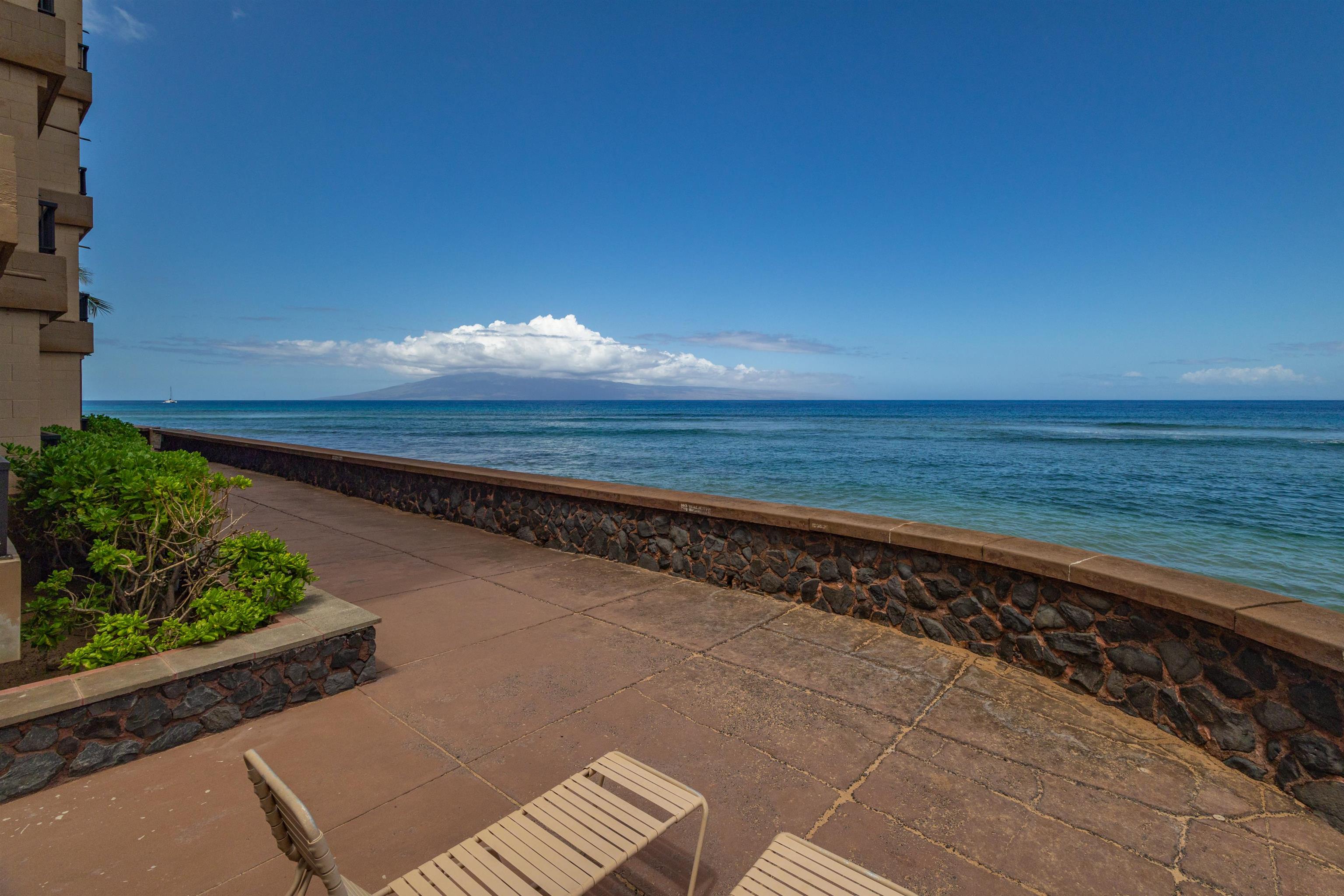 106 Kaanapali Shores Pl Property Photo 29