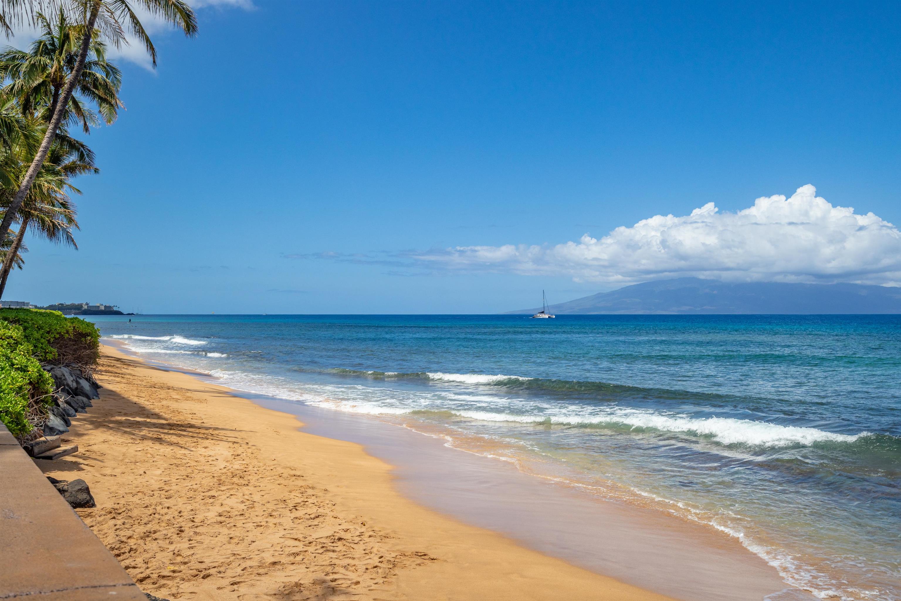106 Kaanapali Shores Pl Property Photo 30
