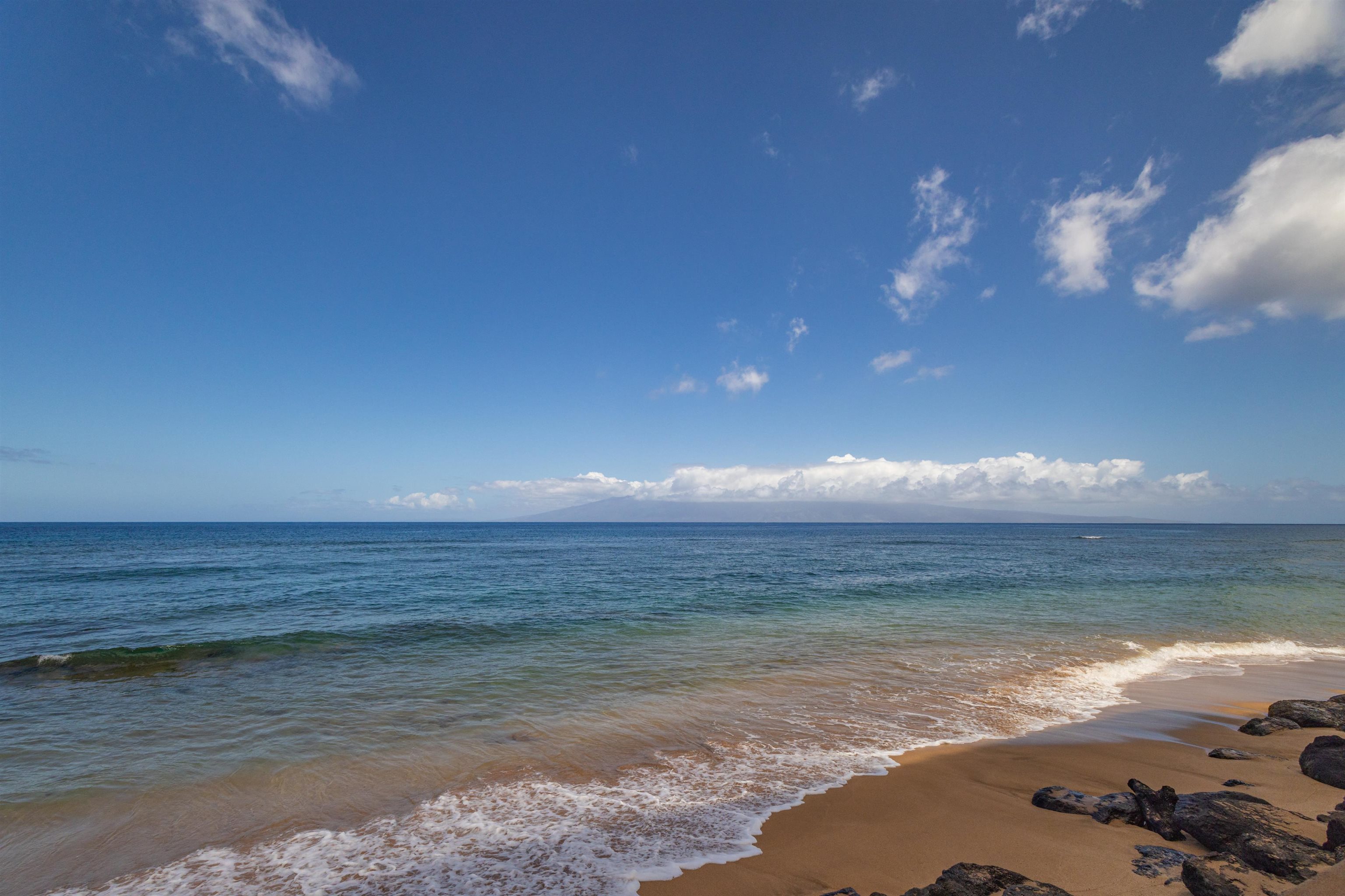 106 Kaanapali Shores Pl Property Photo 31