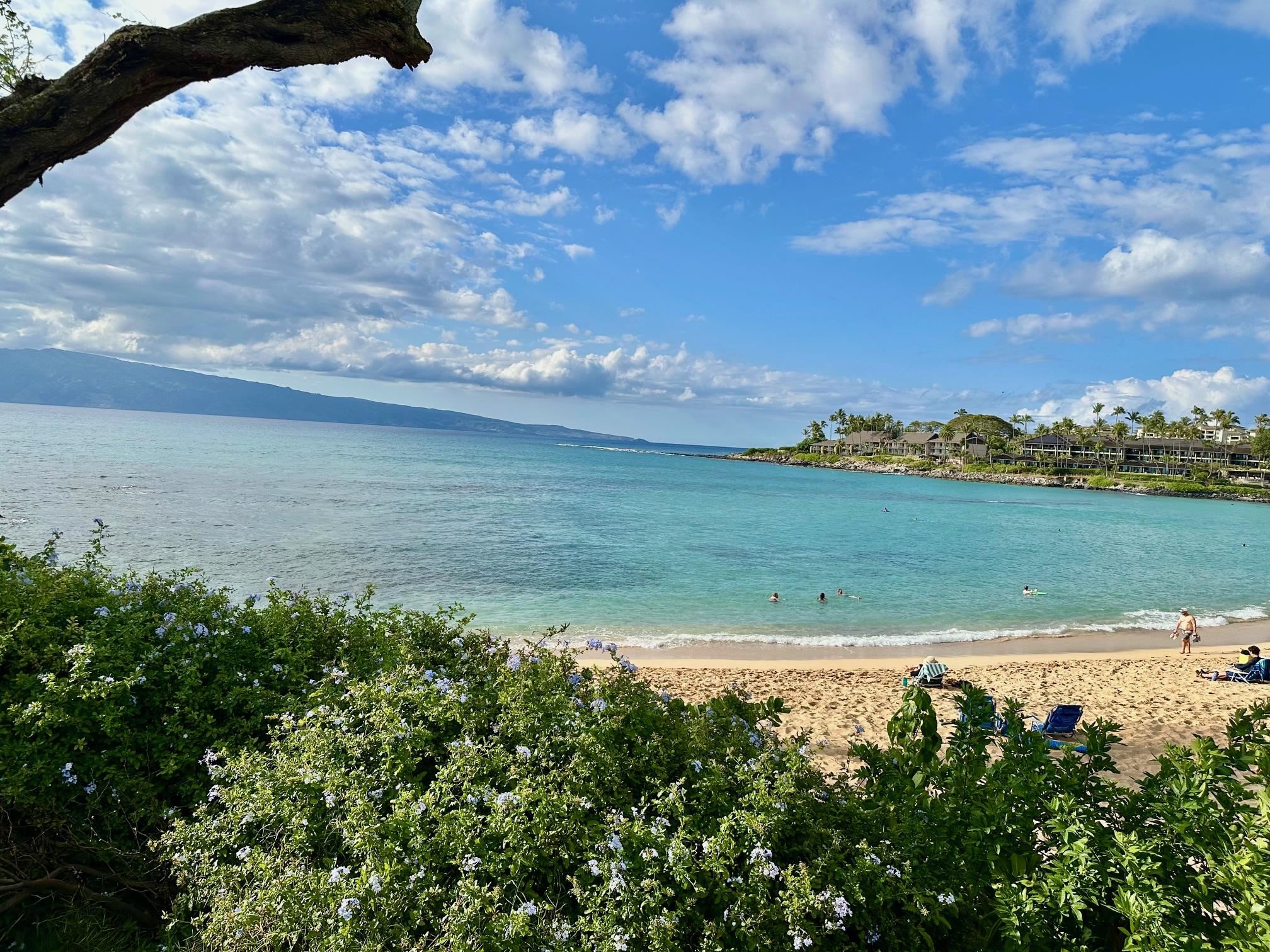 50 Napili Pl Property Photo 23
