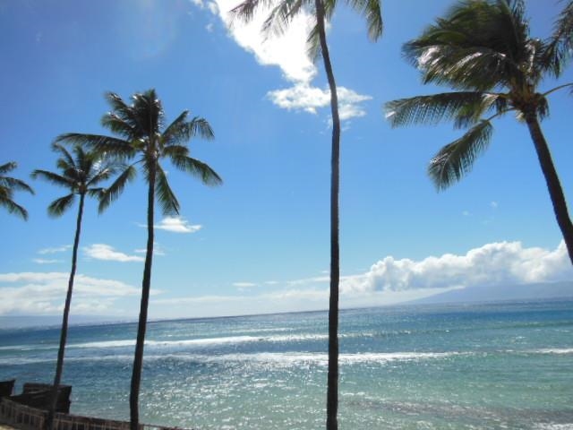 3543 Lower Honoapiilani Rd Property Photo 19