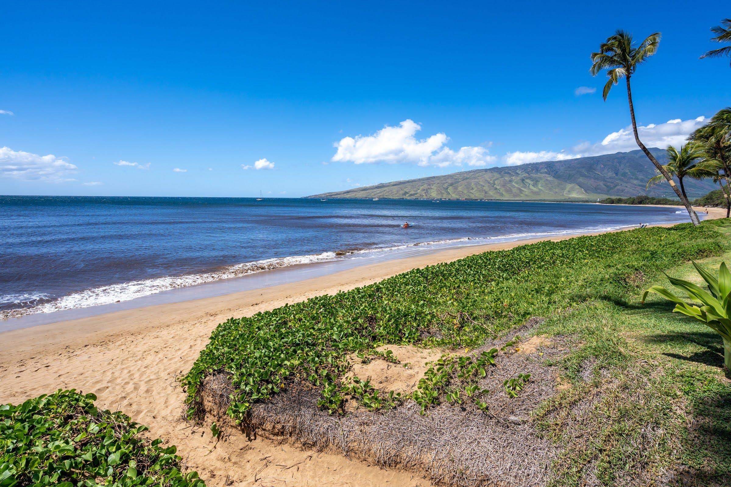 145 N Kihei Rd Property Photo 26