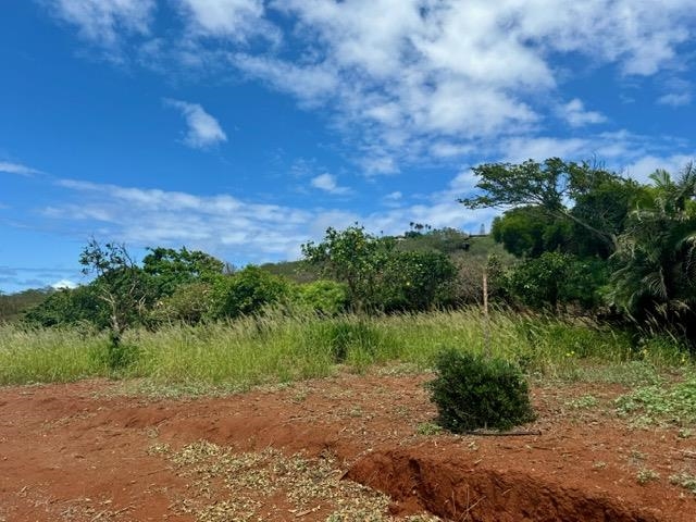 0 Pa Loa Loop Property Photo 22