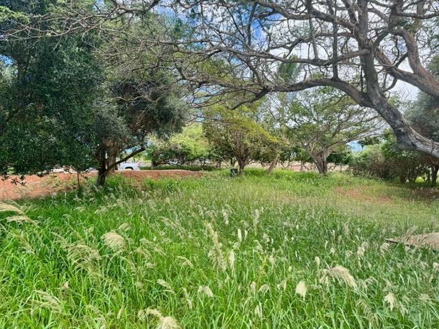 0 Pa Loa Loop Property Photo 24
