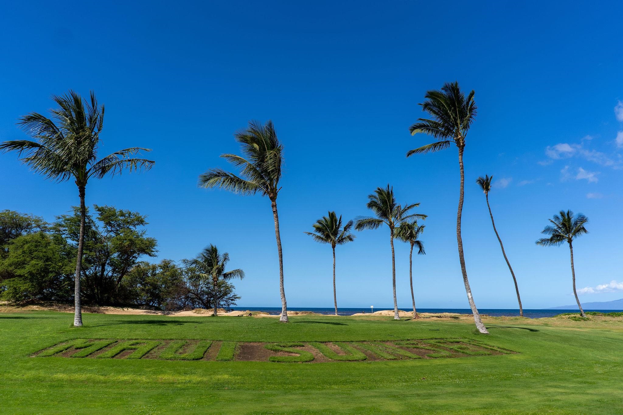 1032 S Kihei Rd Property Photo 33