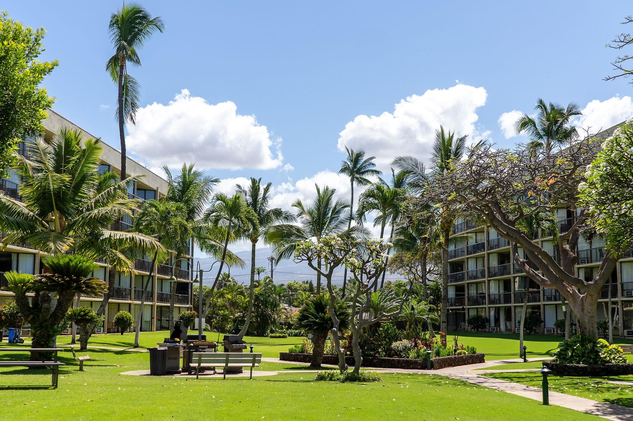 1032 S Kihei Rd Property Photo 36