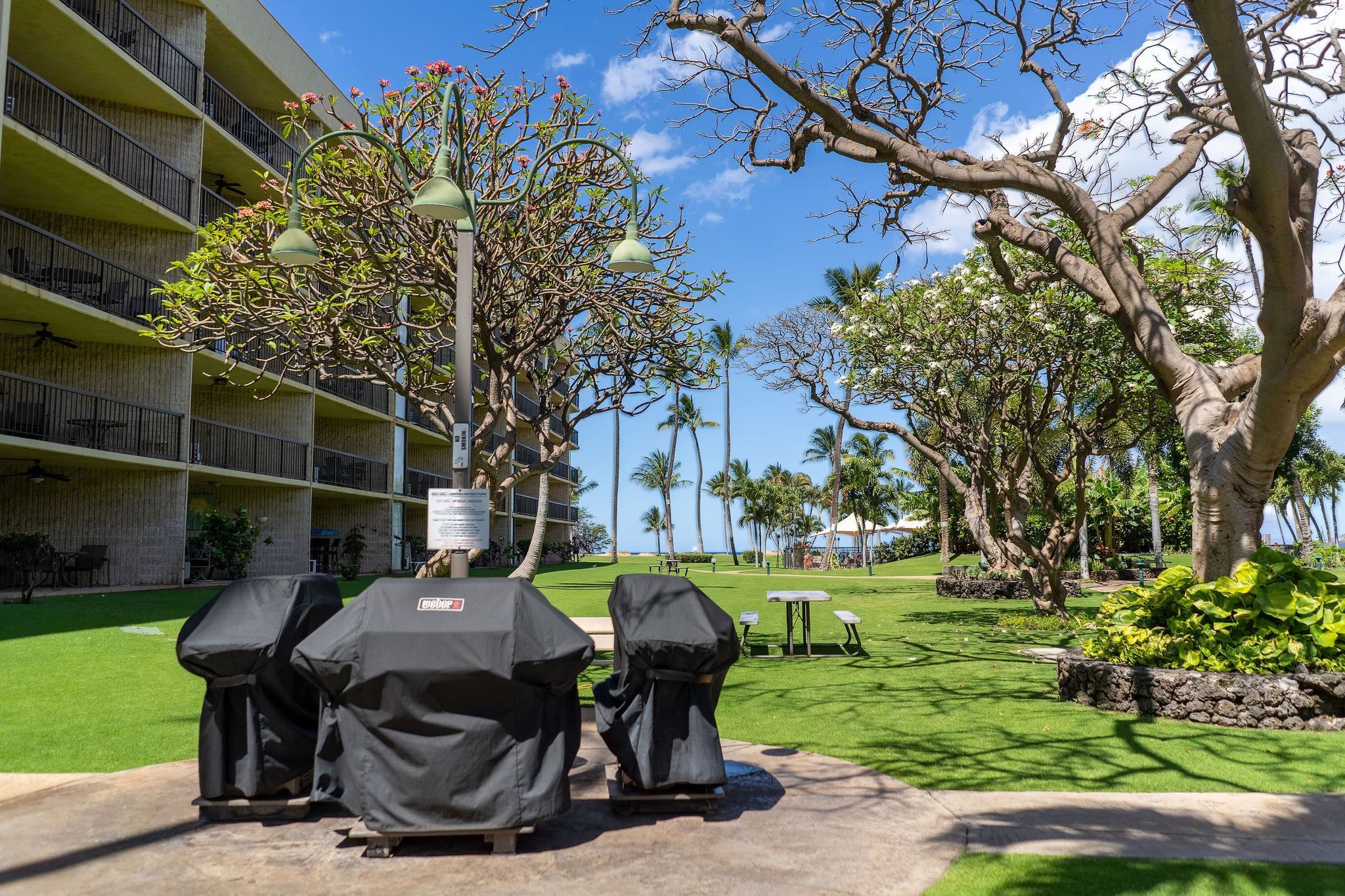 1032 S Kihei Rd Property Photo 45