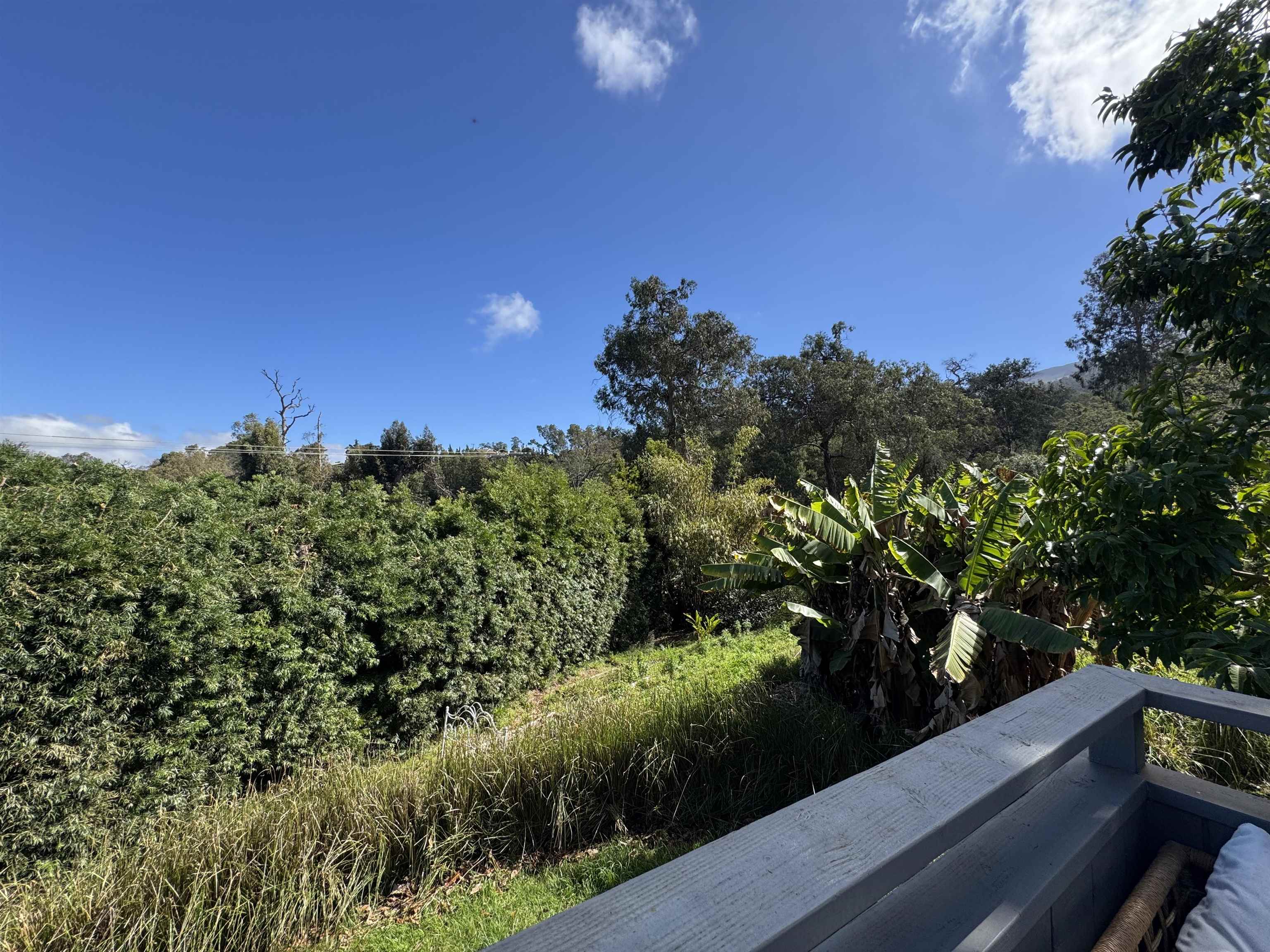 91 Waiakoa Rd Property Photo 7