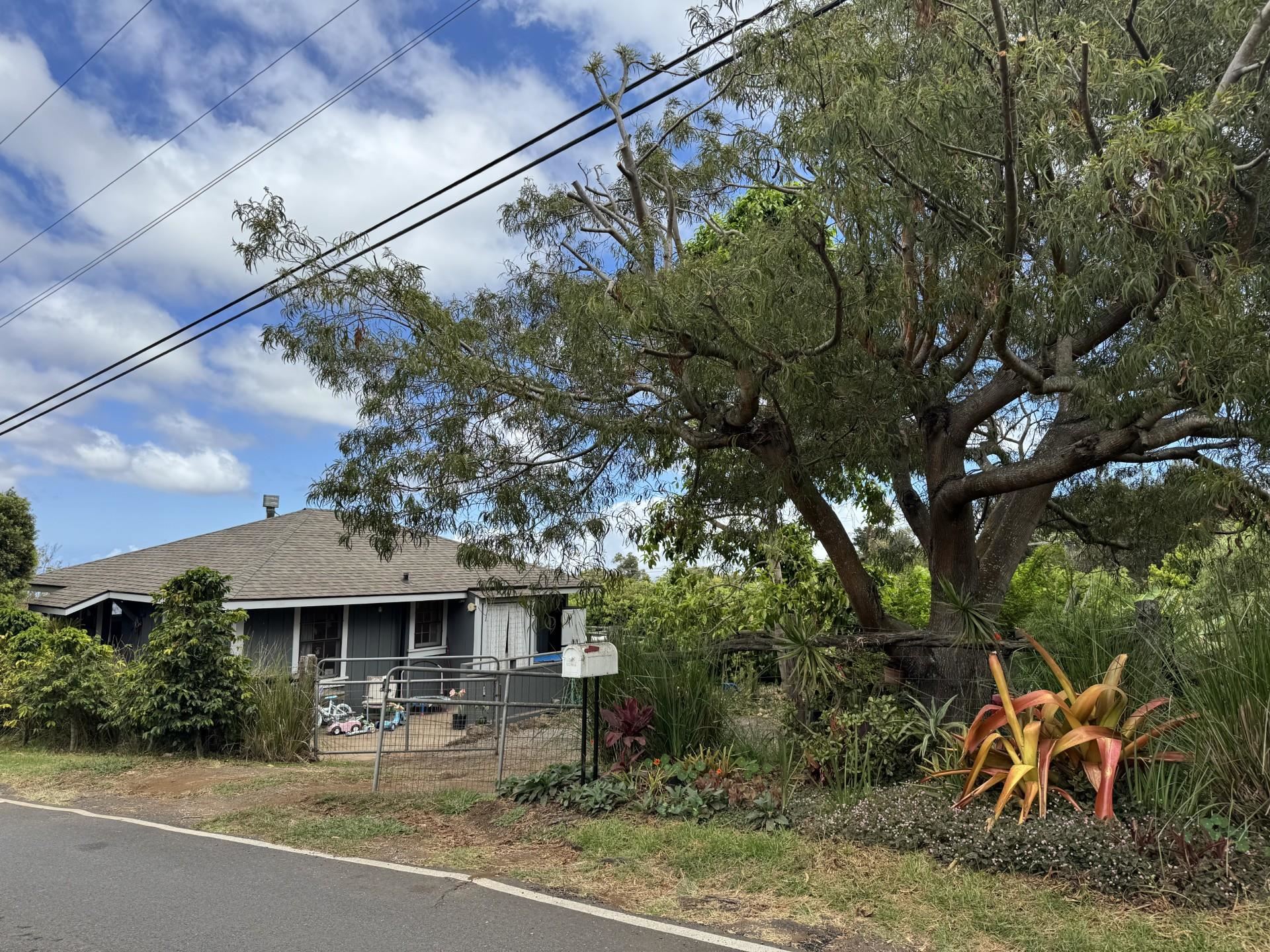 91 Waiakoa Rd Property Photo 28