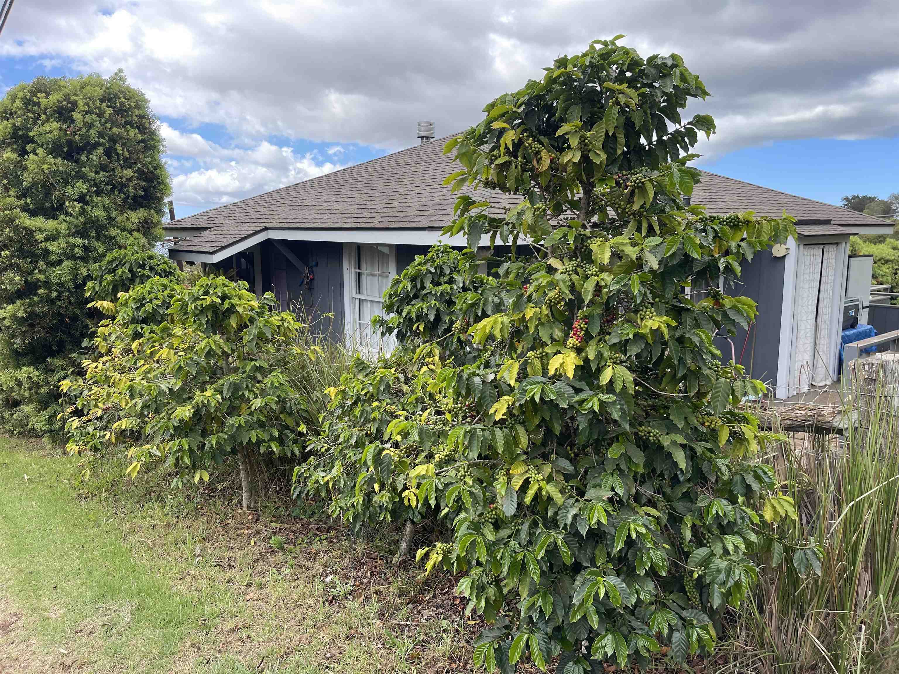 91 Waiakoa Rd Property Photo 32