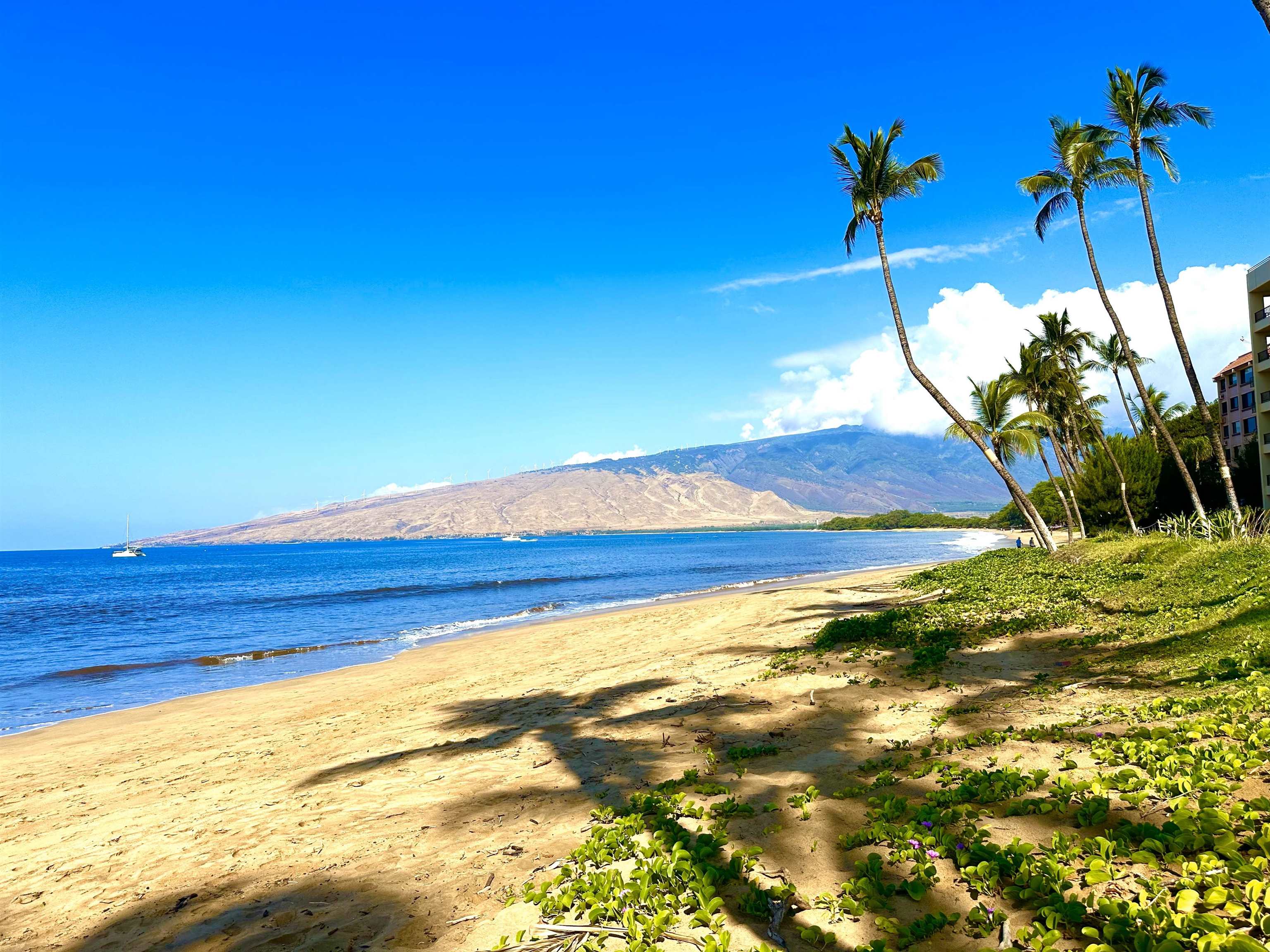 145 N Kihei Rd Property Photo 29