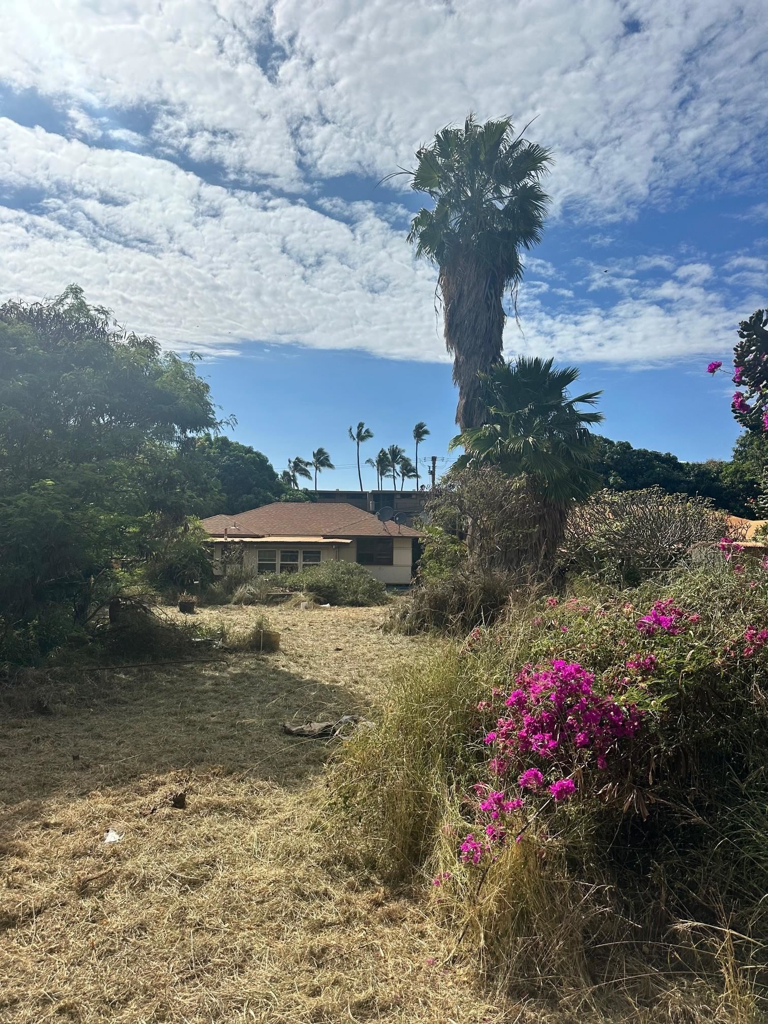3816 Lower Honoapiilani Rd Property Photo 1