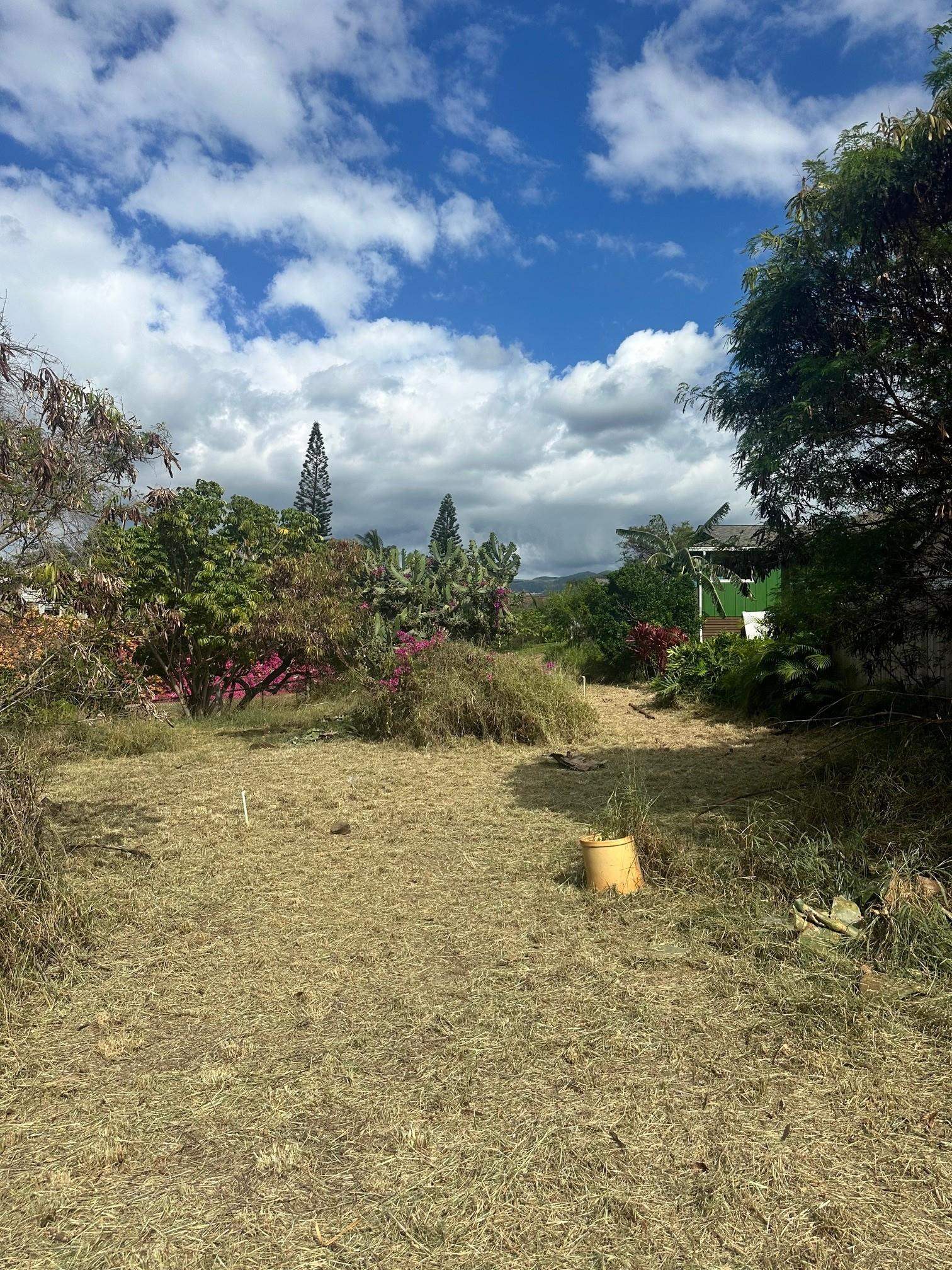 3816 Lower Honoapiilani Rd Property Photo 4